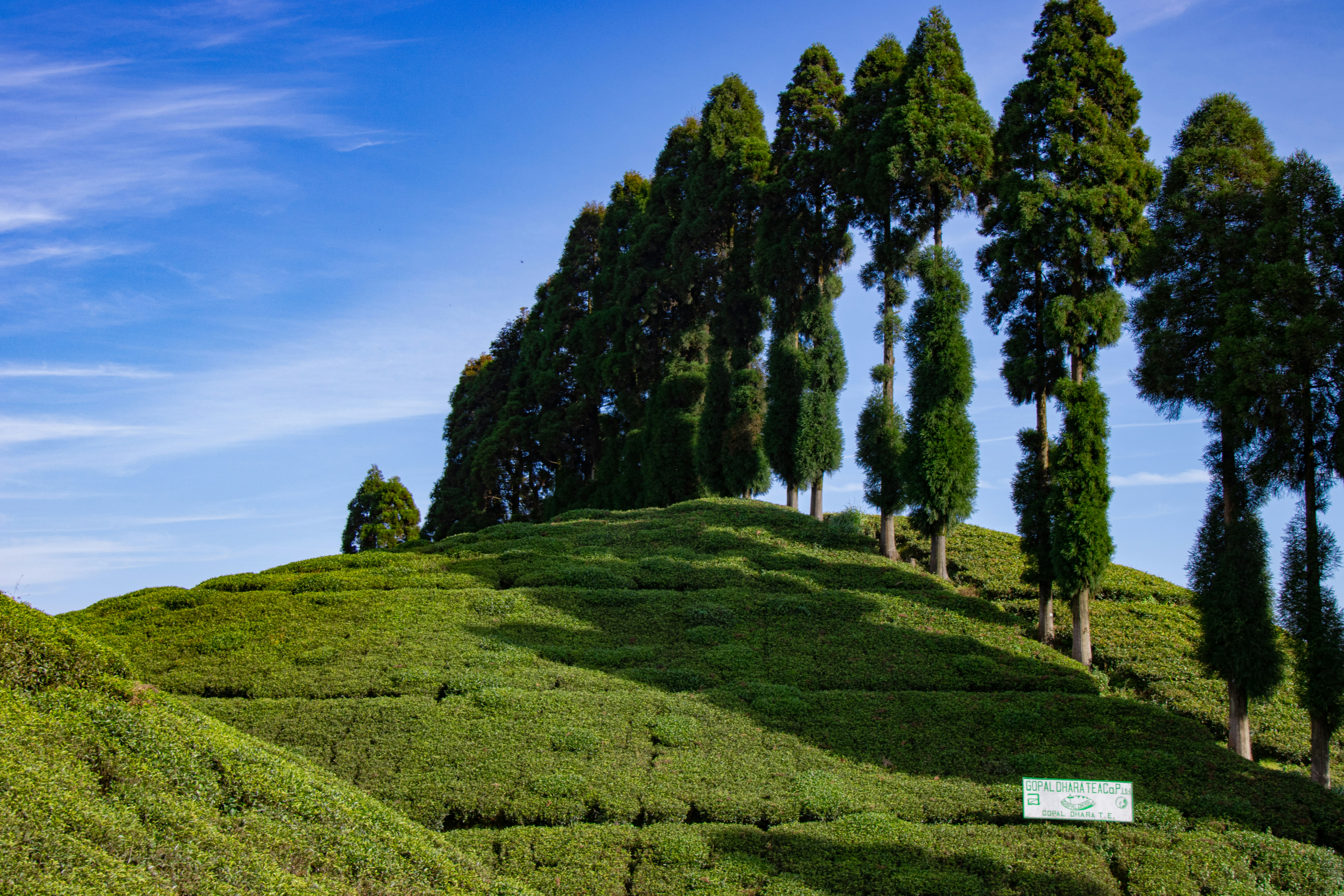 Photo by mhphotography13