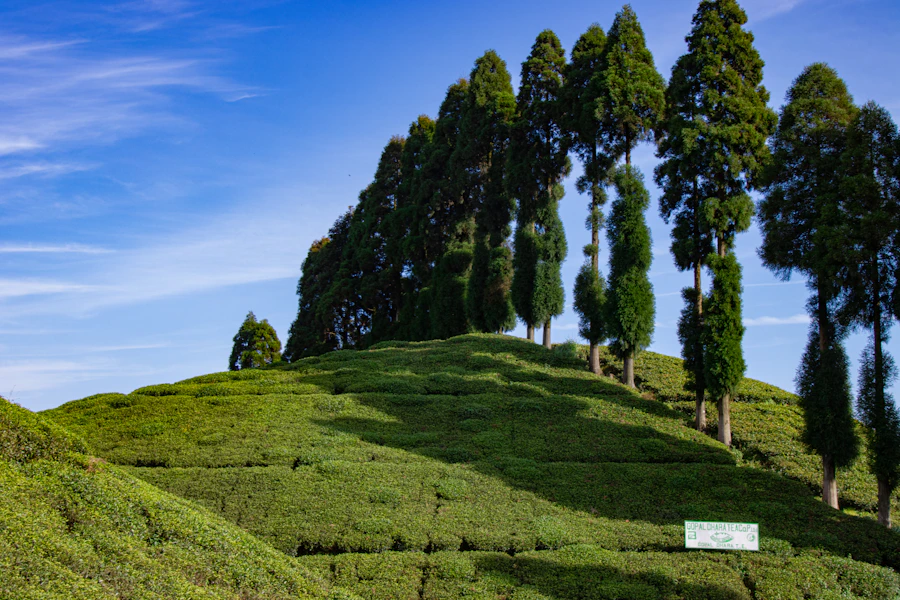 North Sikkim Adventure: Gurudongmar Lake & Zero Point Travelogue