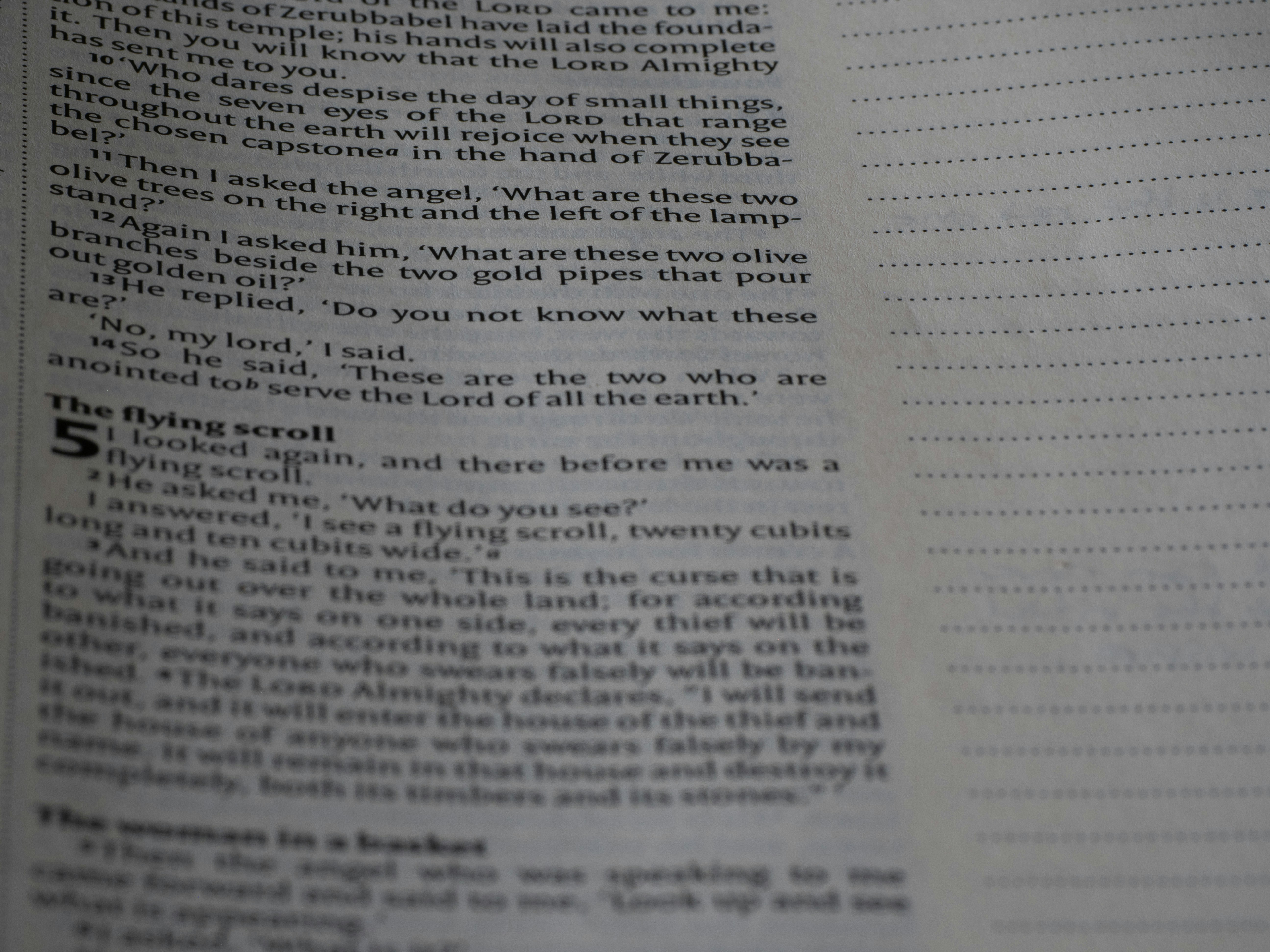 Photo by brett_jordan