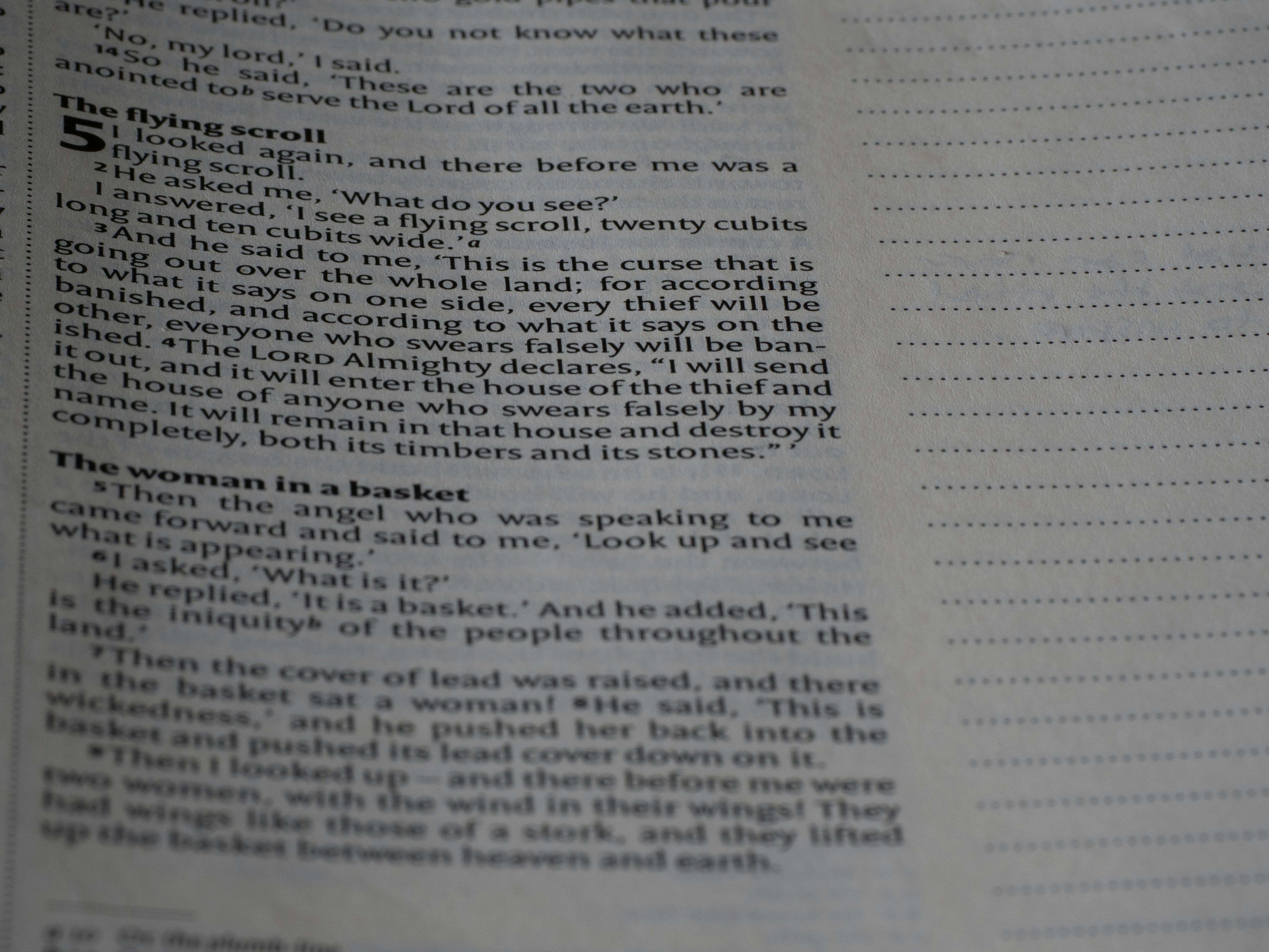 Photo by brett_jordan