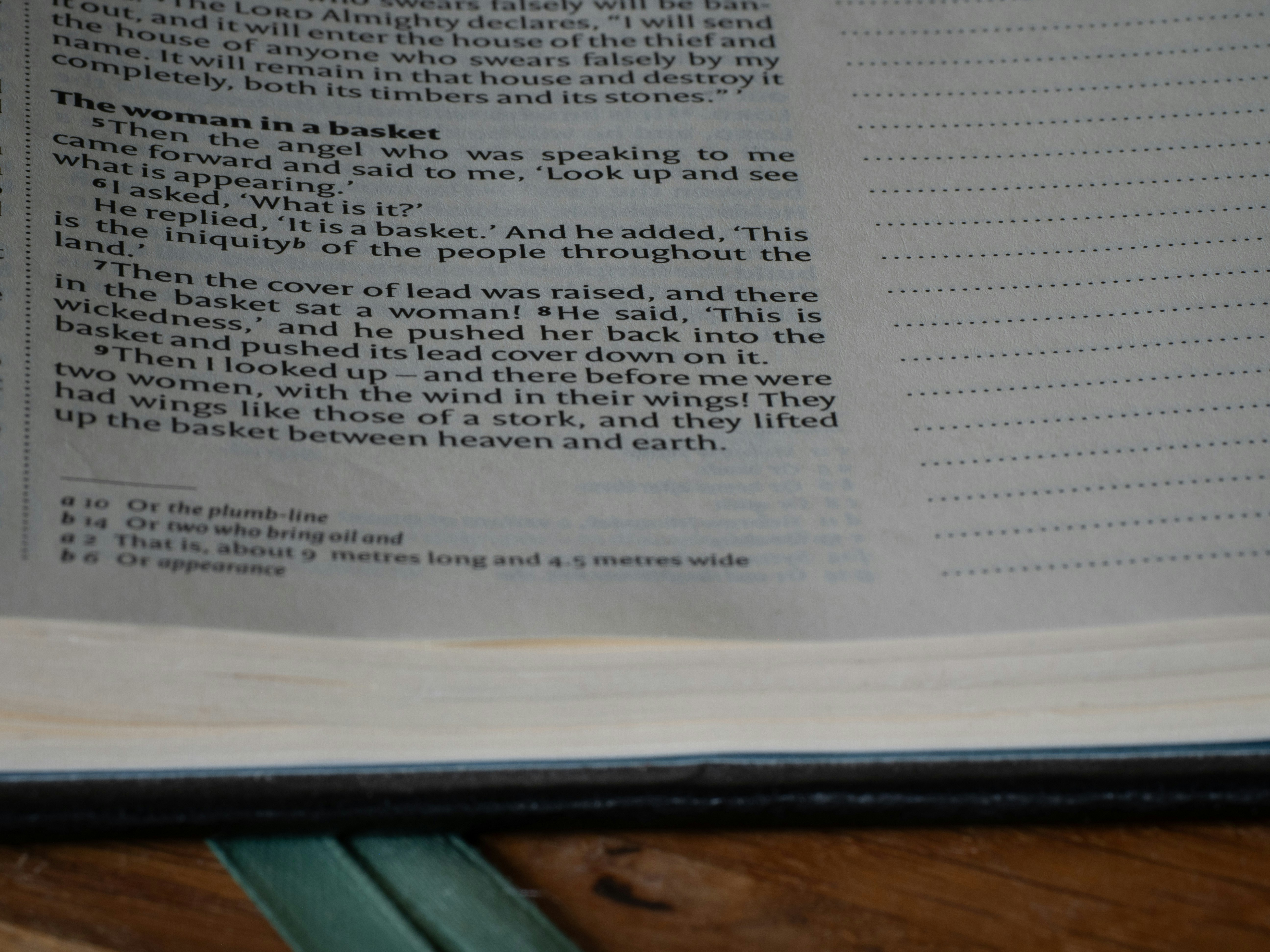 Photo by brett_jordan