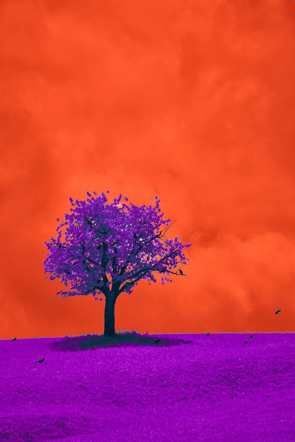 a lone tree in a purple field under a red sky