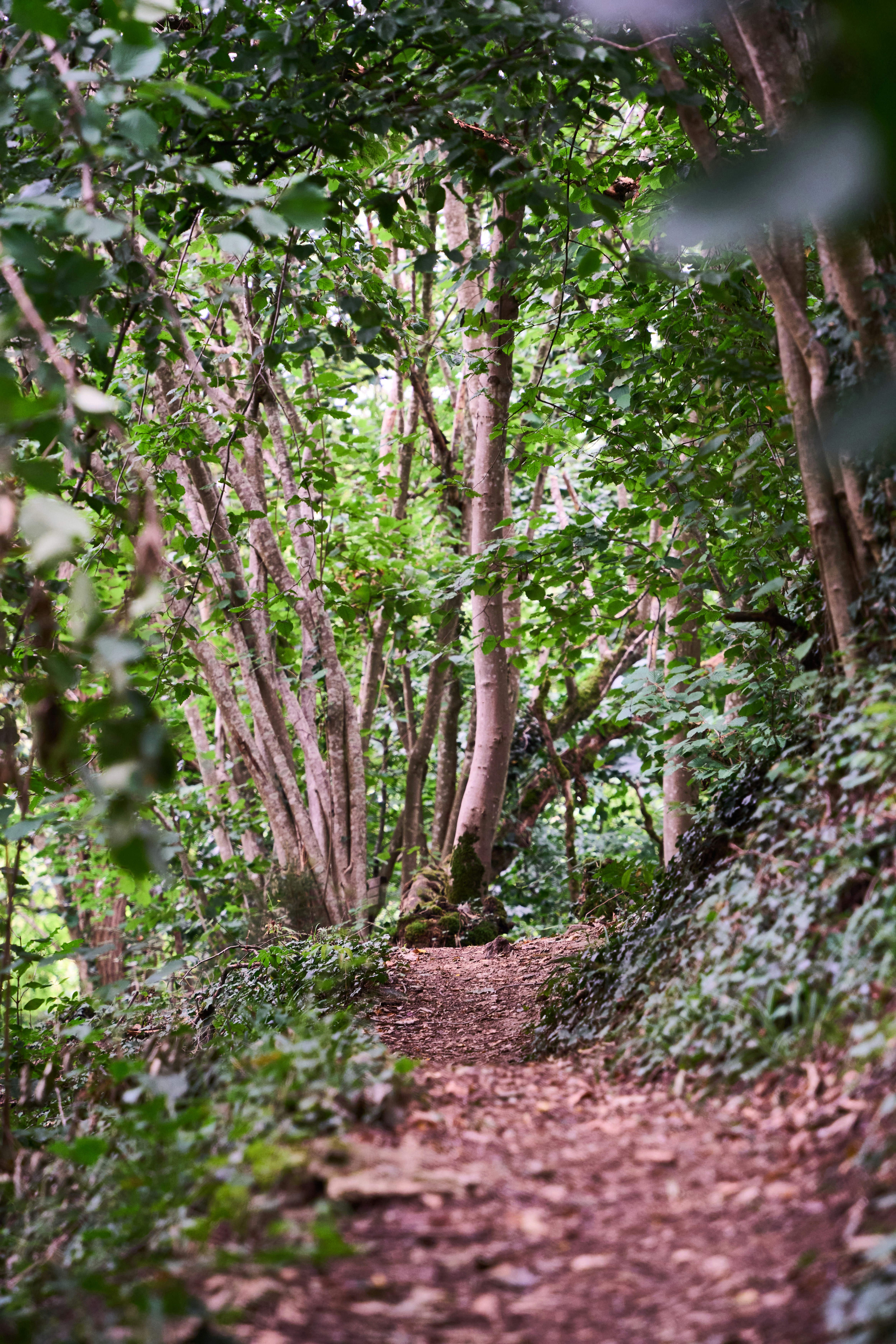 Photo by wolfgang_hasselmann