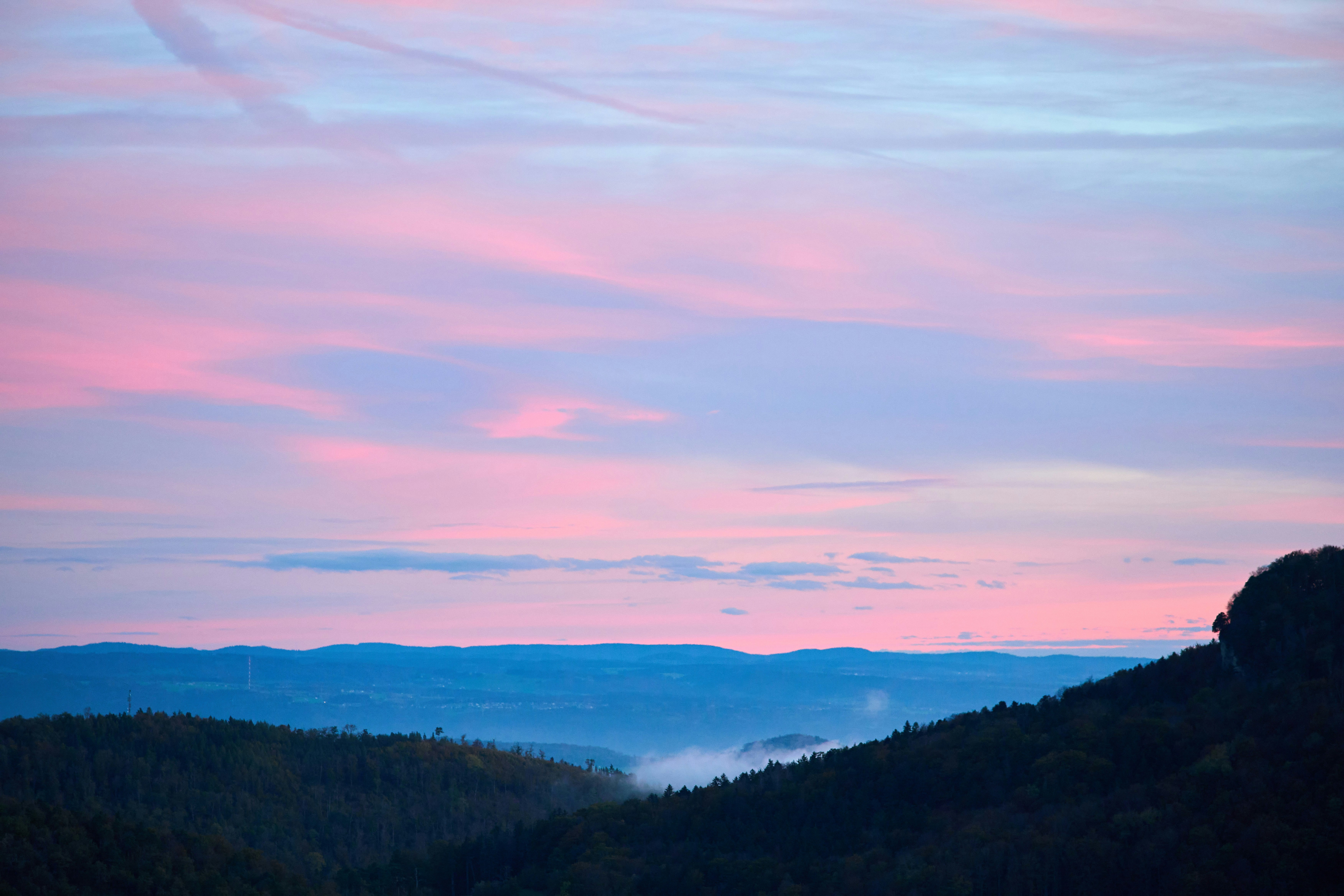 Photo by wolfgang_hasselmann