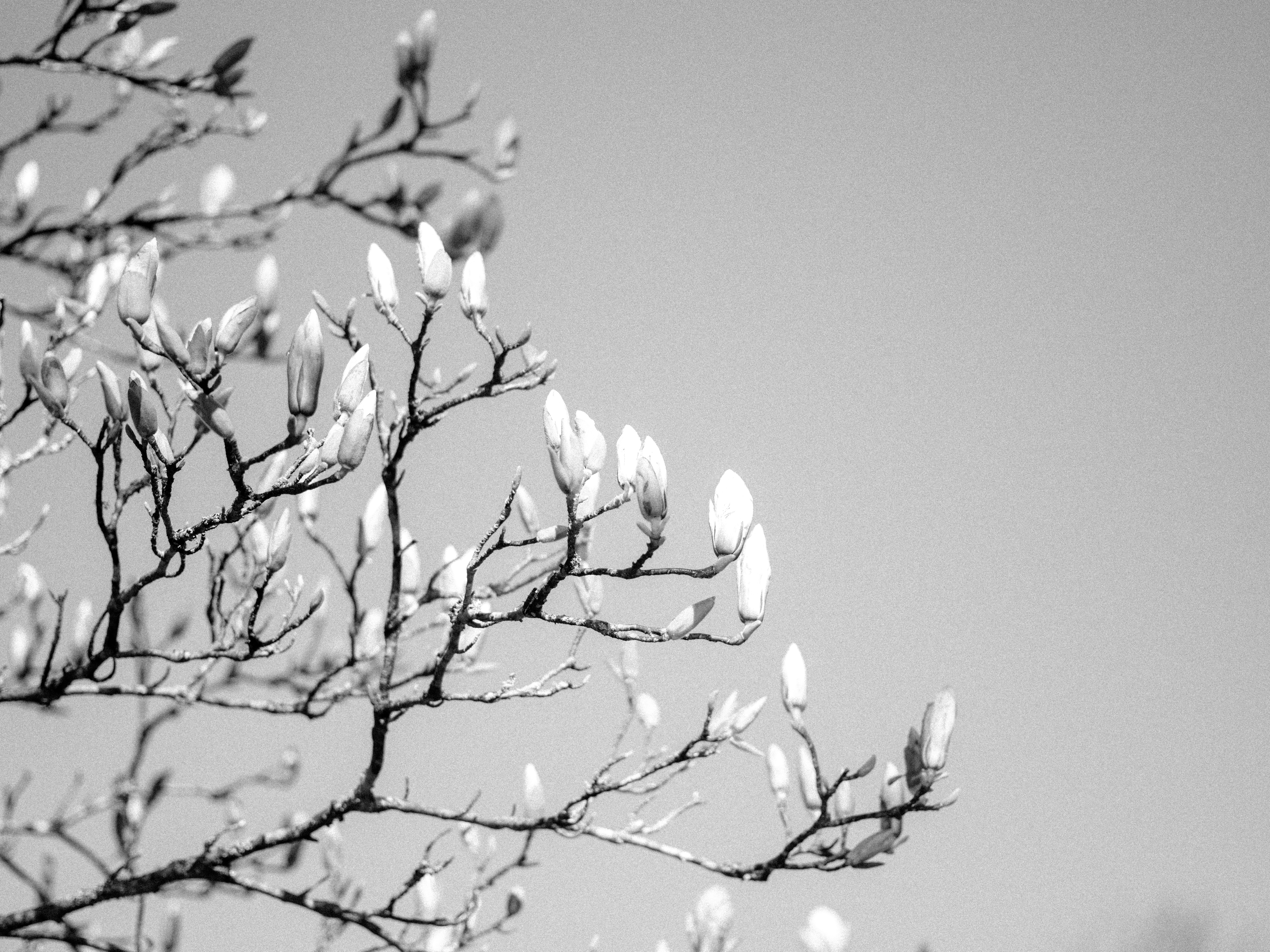 Photo by anniespratt