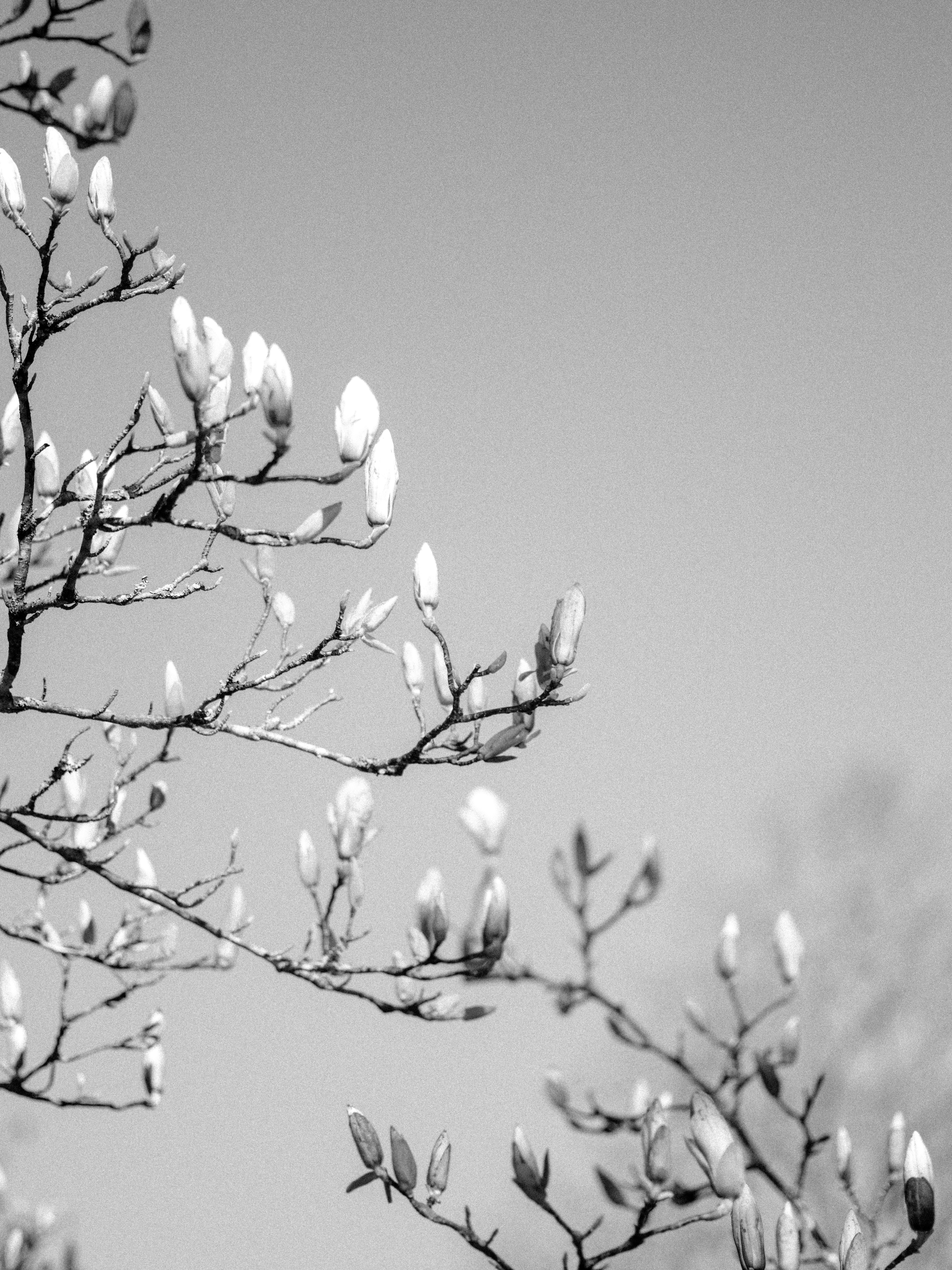 Photo by anniespratt