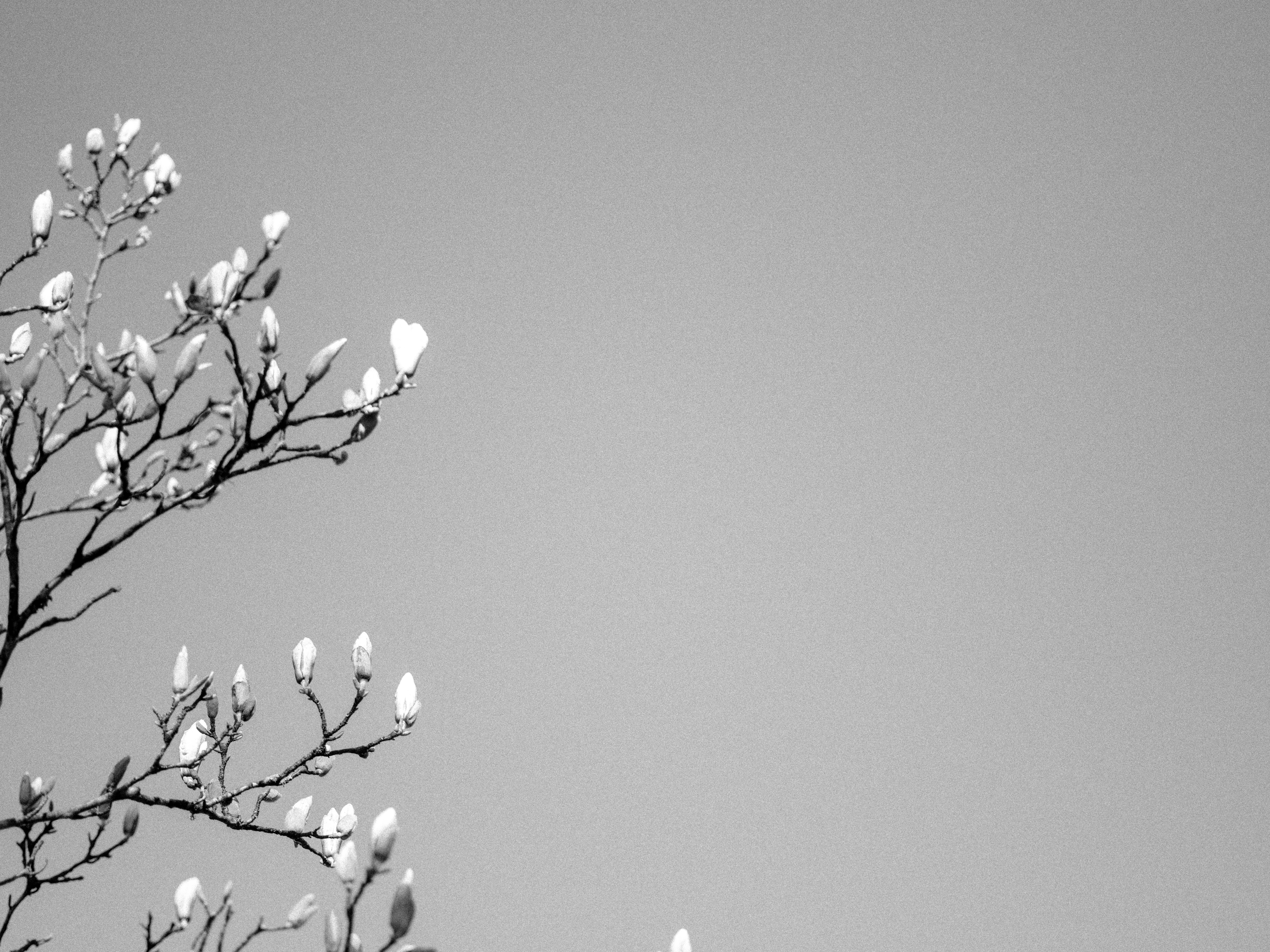 Photo by anniespratt