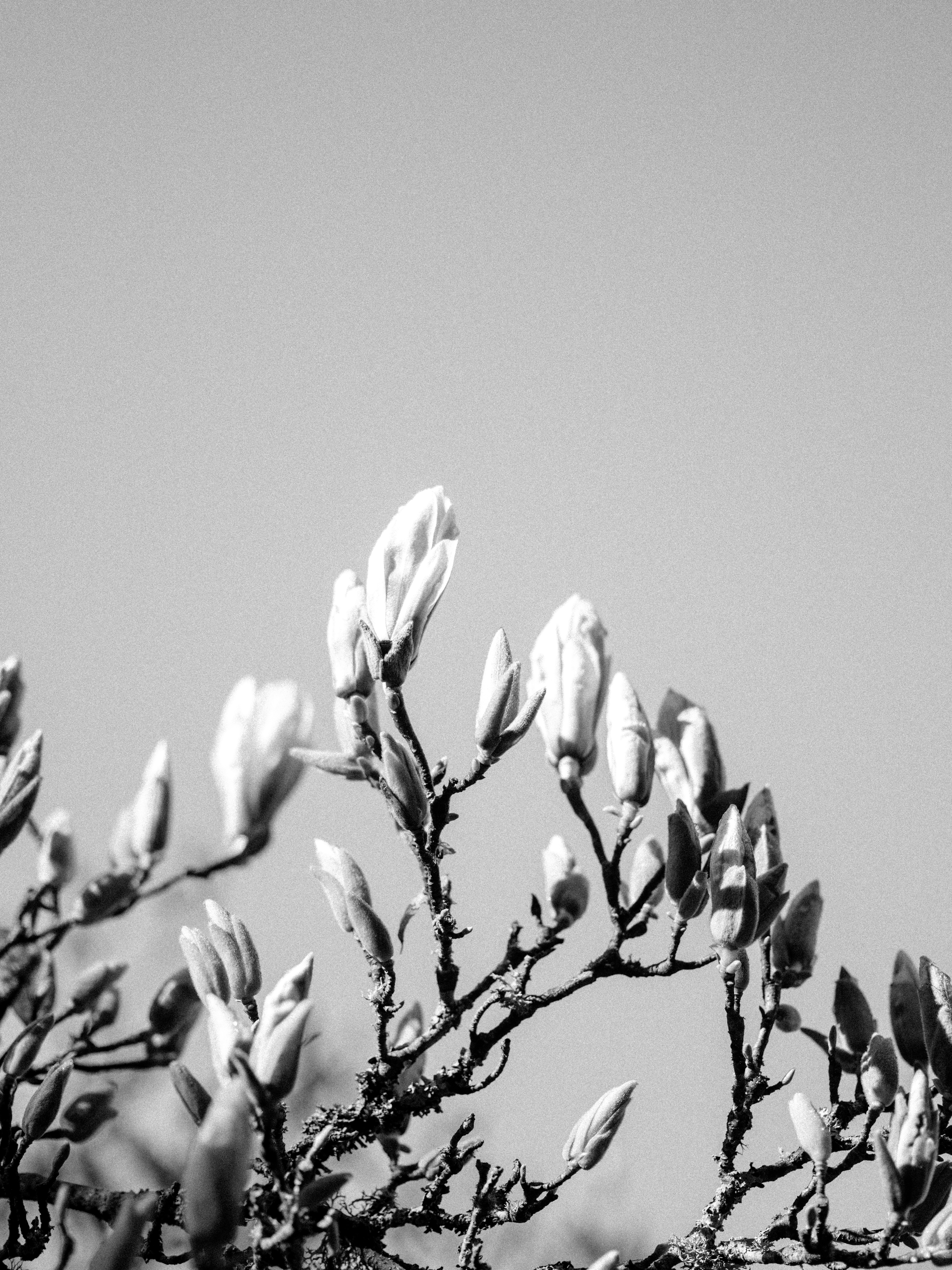 Photo by anniespratt