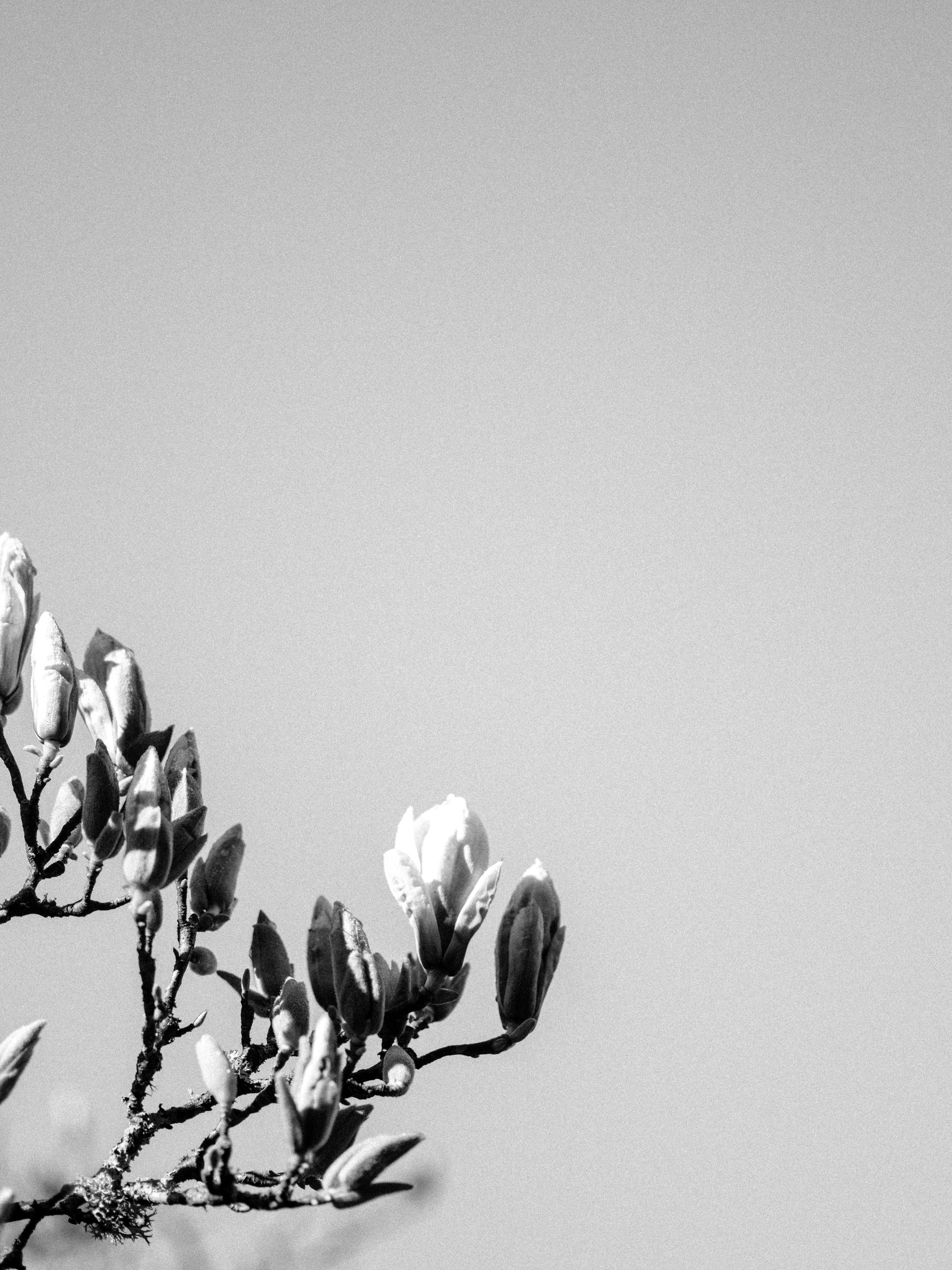 Photo by anniespratt