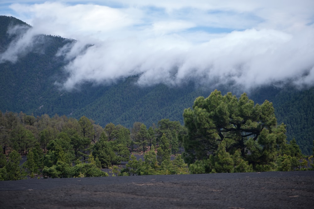 a view of a mountain range with trees in the foreground