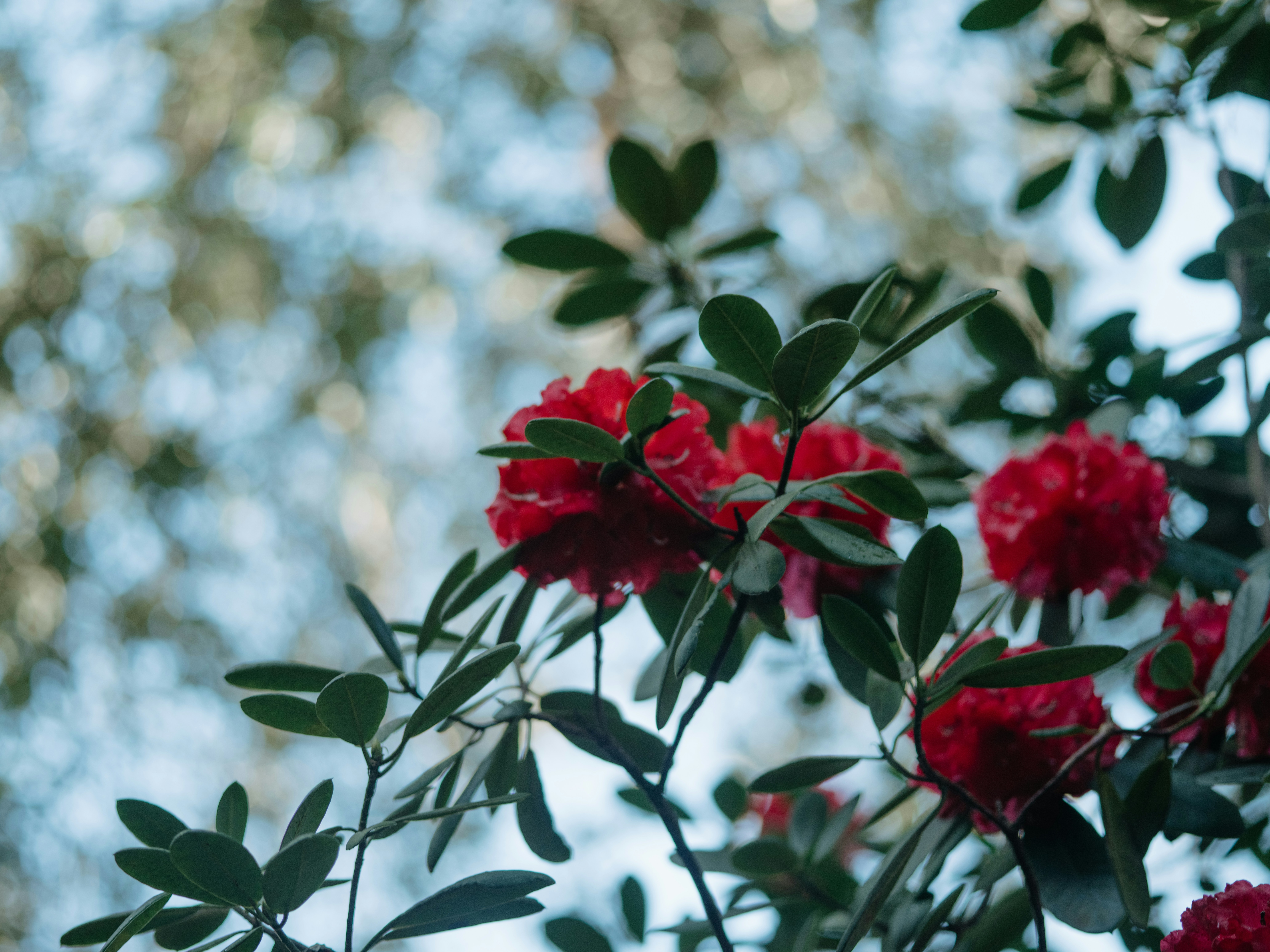 Photo by anniespratt