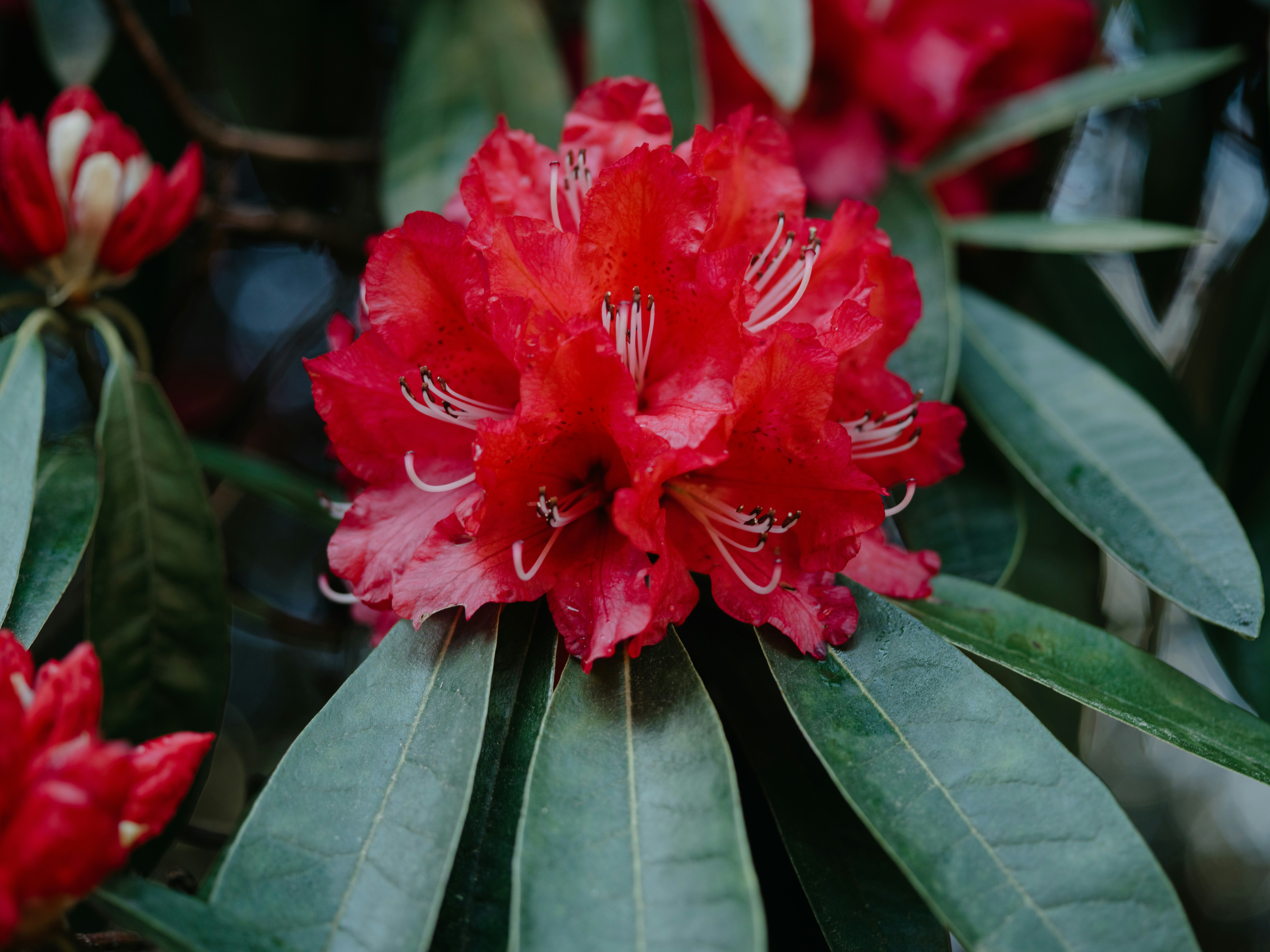 Photo by anniespratt