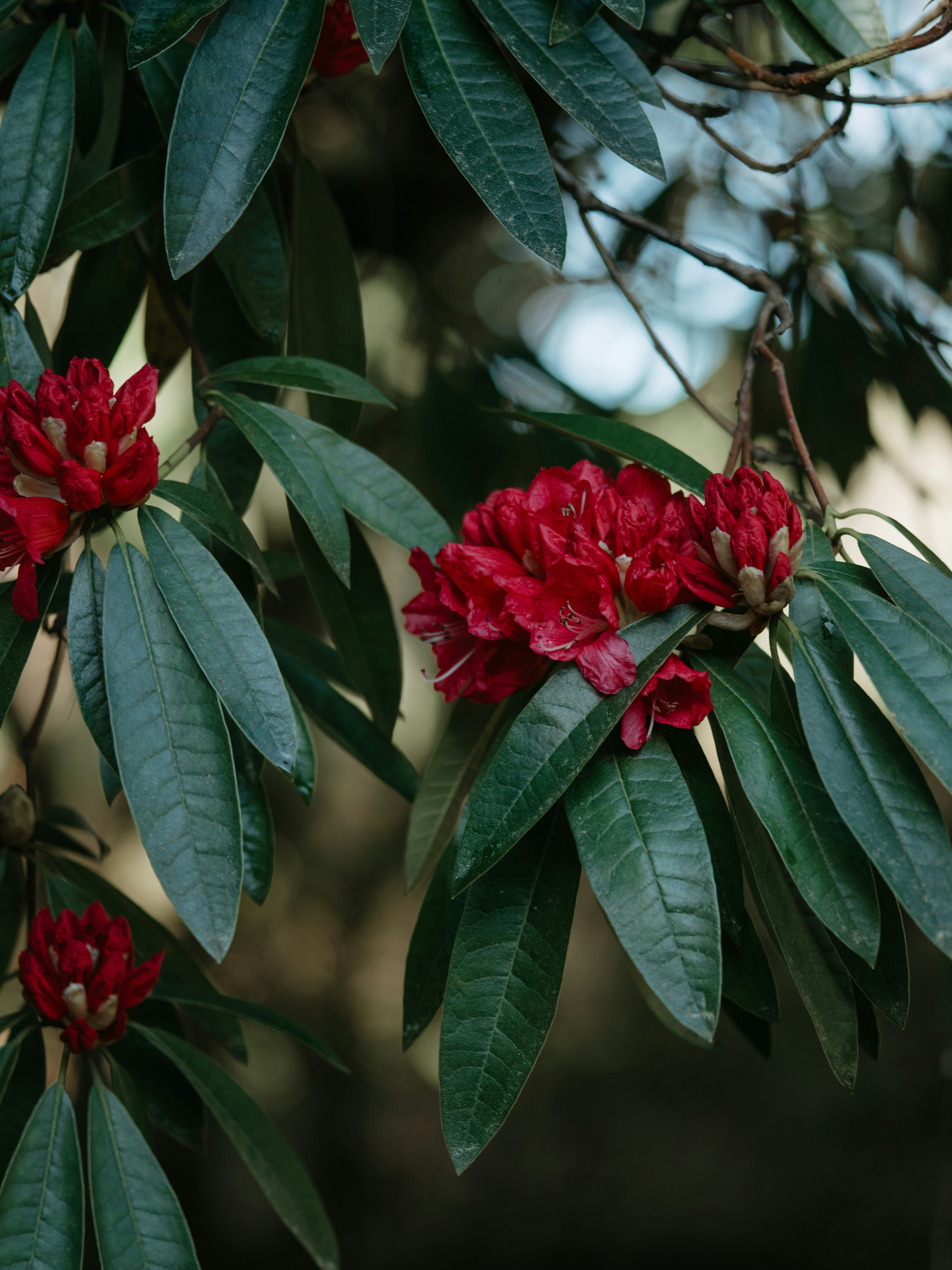 Photo by anniespratt