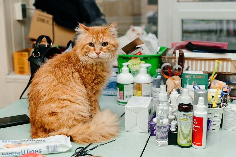 Un gato naranja sentado en una mesa rodeado de cosméticos