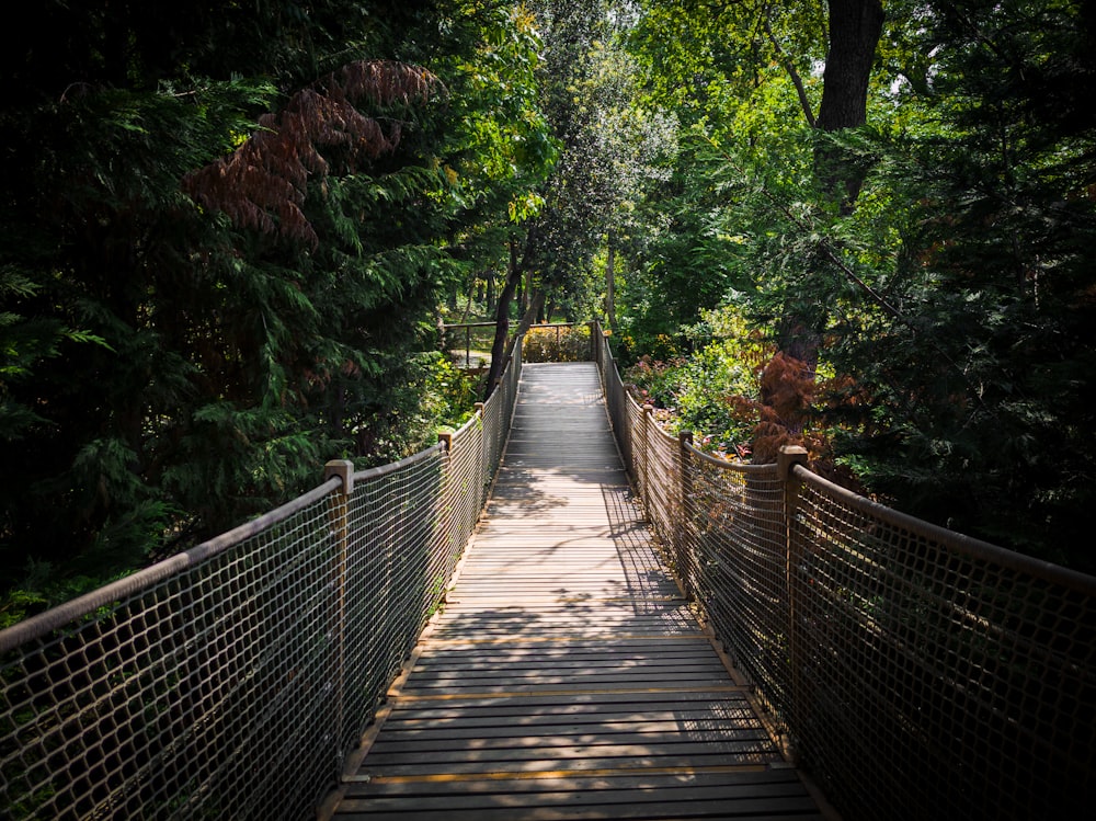 a wooden walkway surrounded by trees and greenery