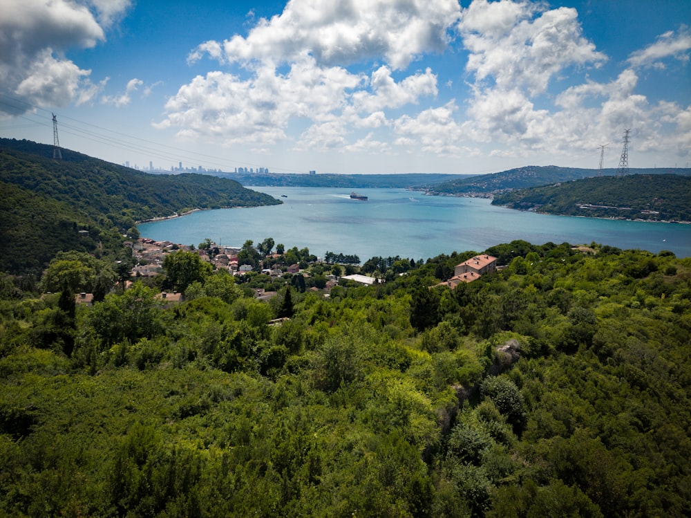 a large body of water surrounded by lush green trees