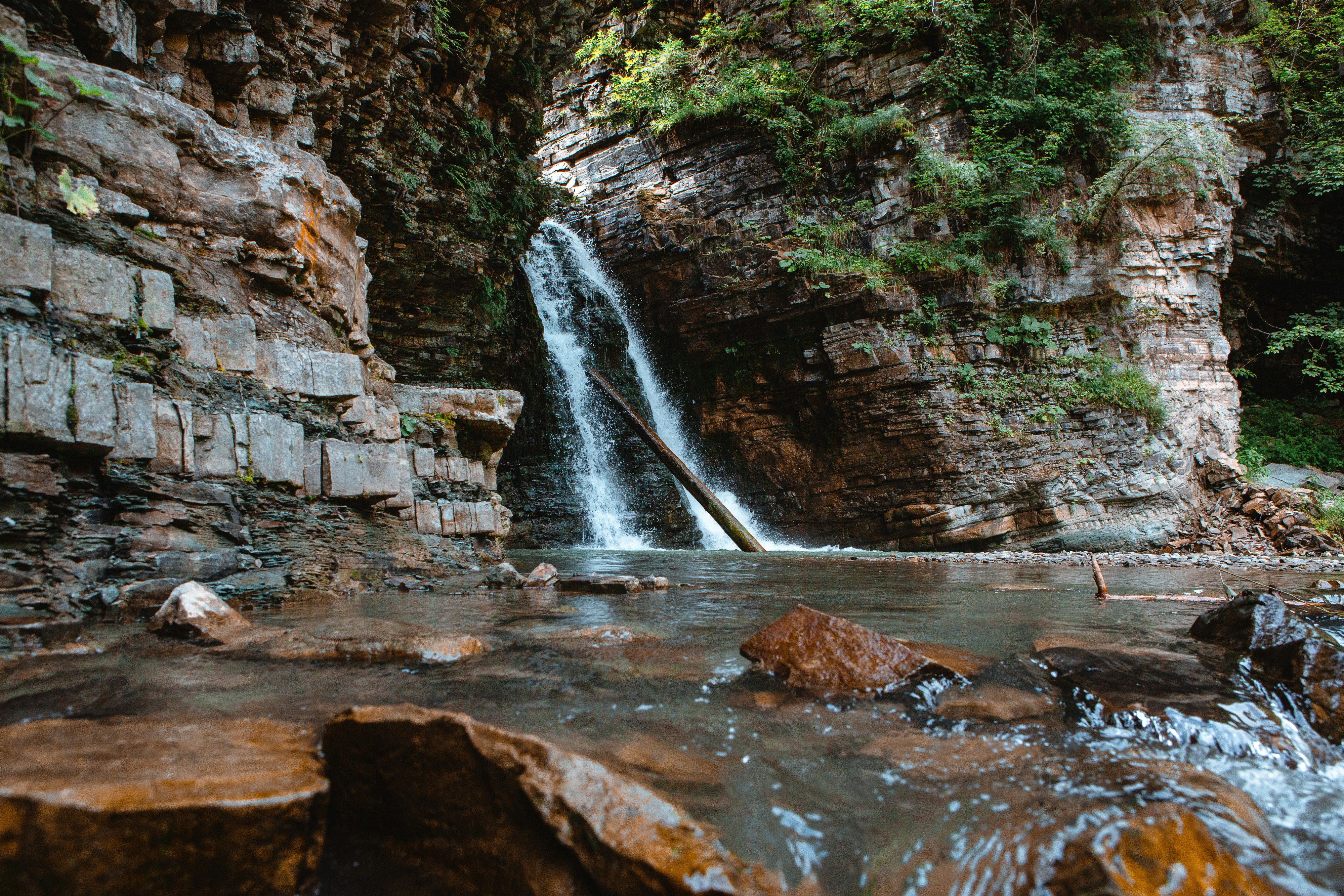 Photo by olga_kononenko