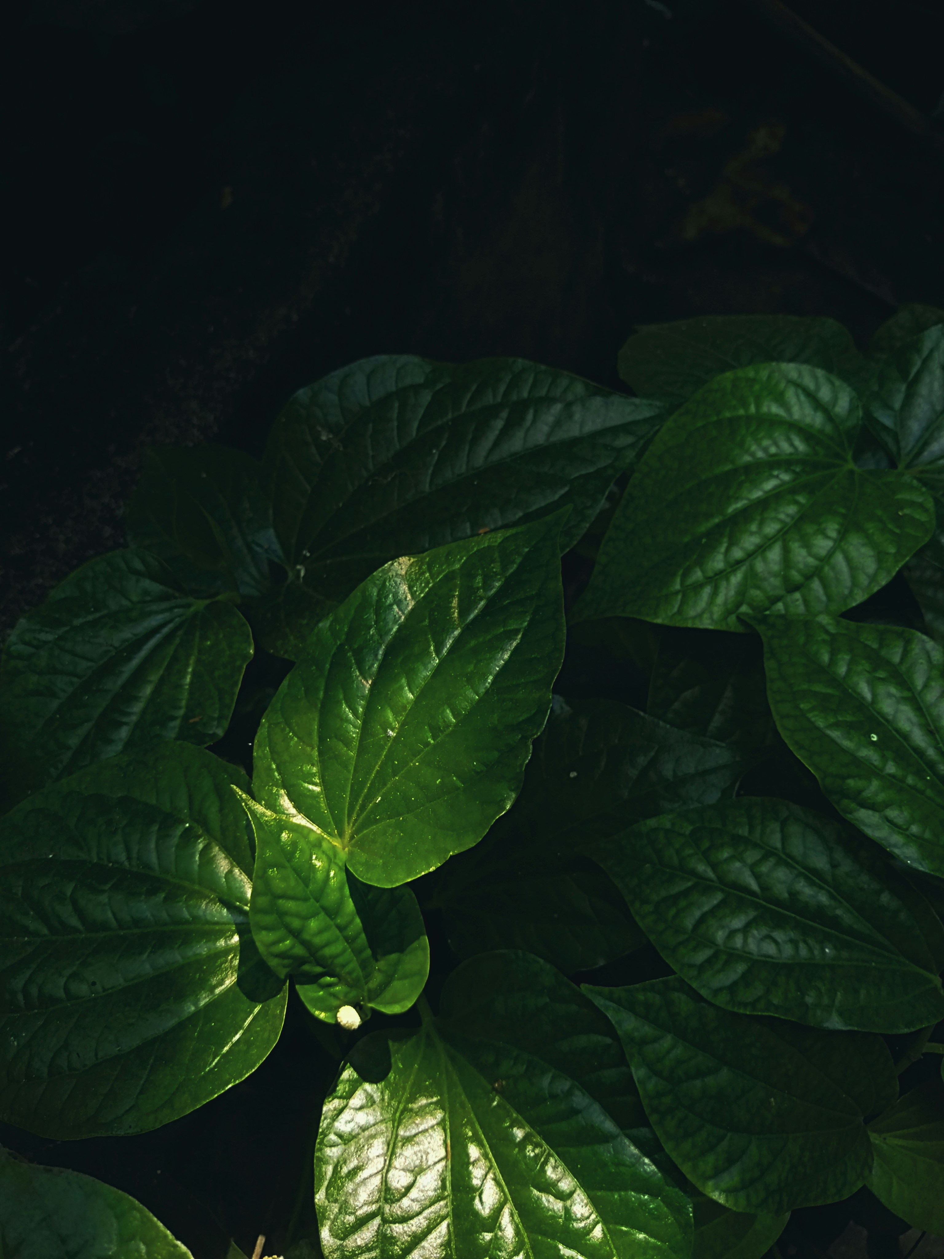 Photo by surely_abhiram_sp_h2