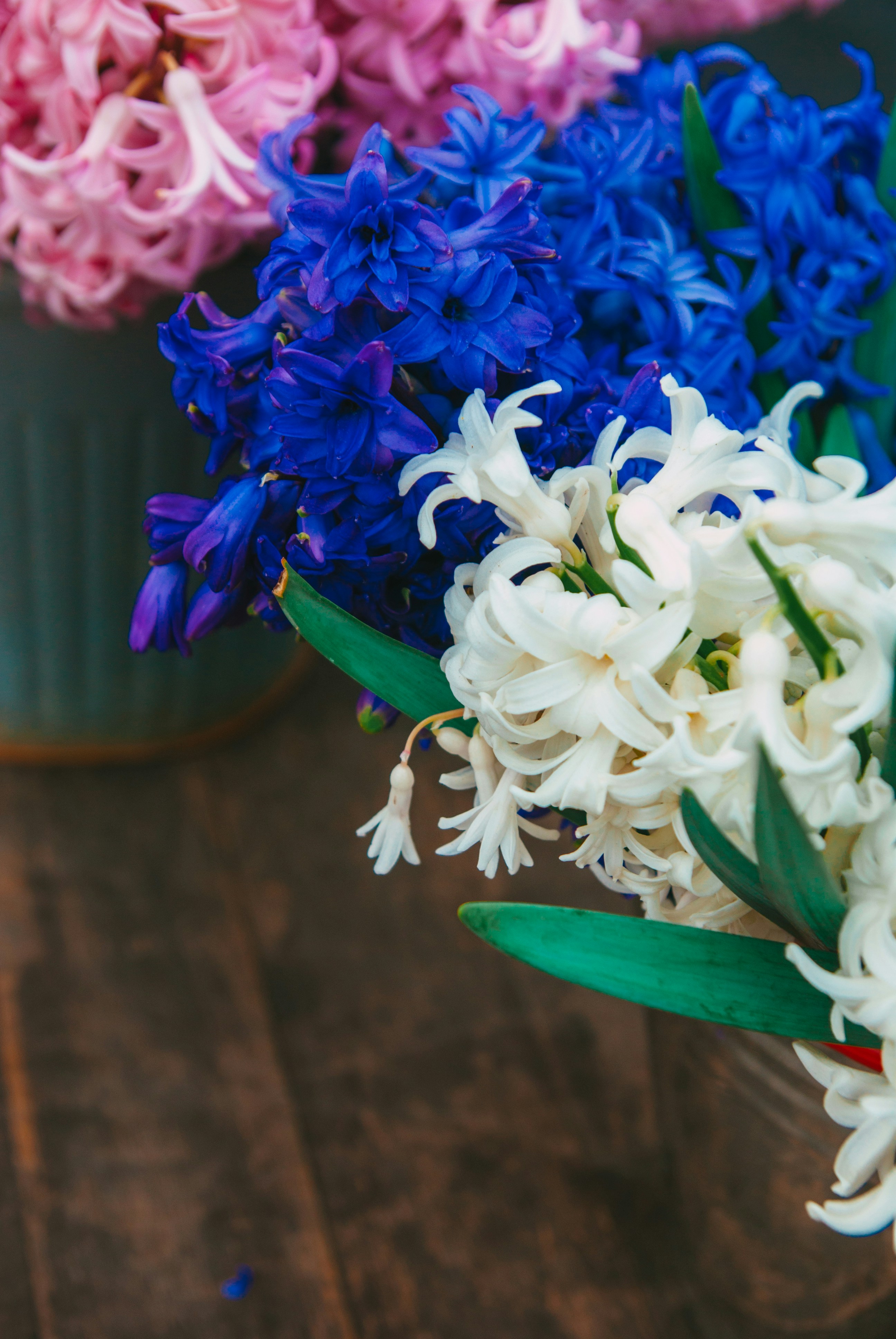 Photo by moonmoons_days