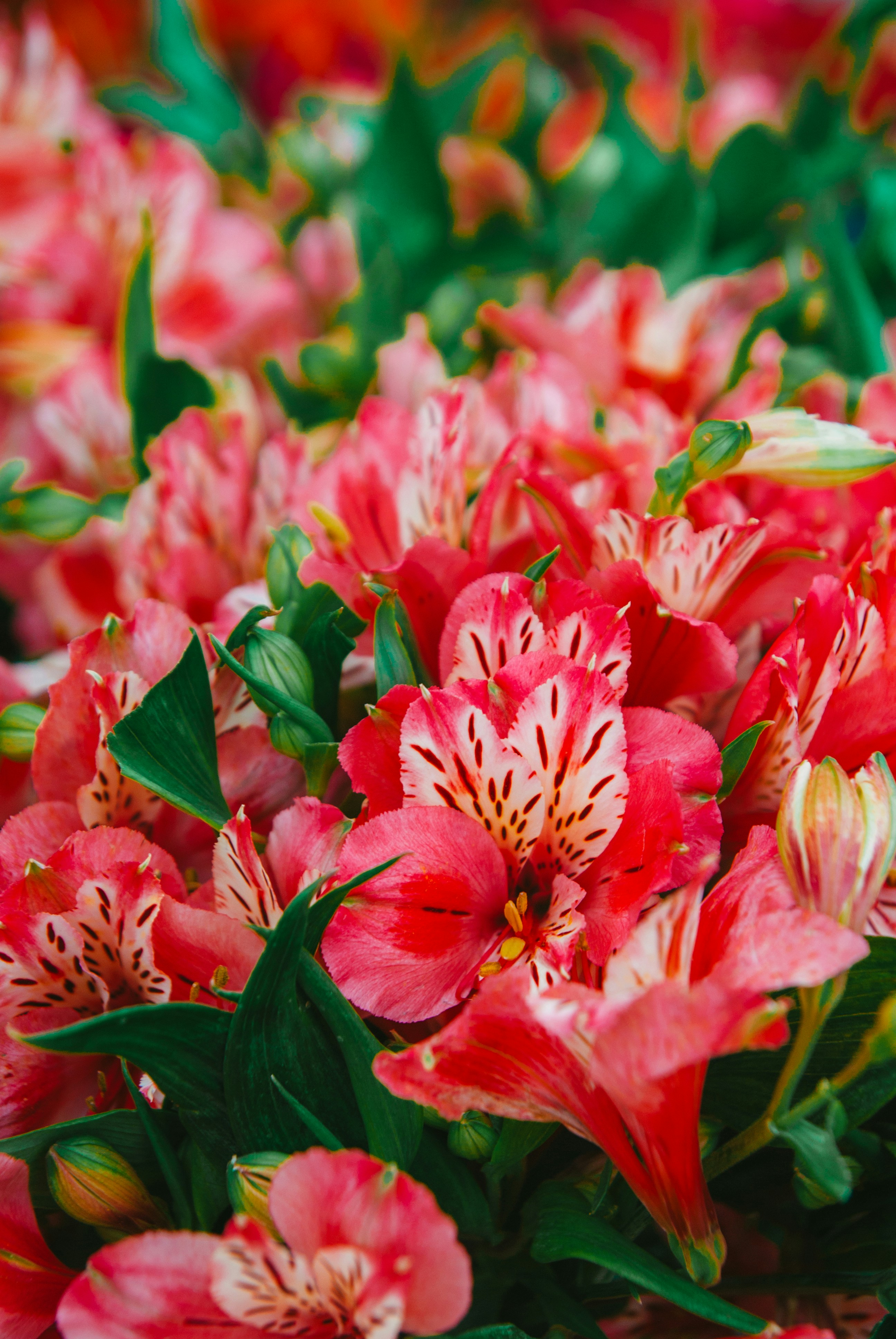 Photo by moonmoons_days