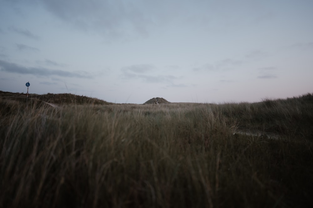 a grassy field with a small hill in the distance