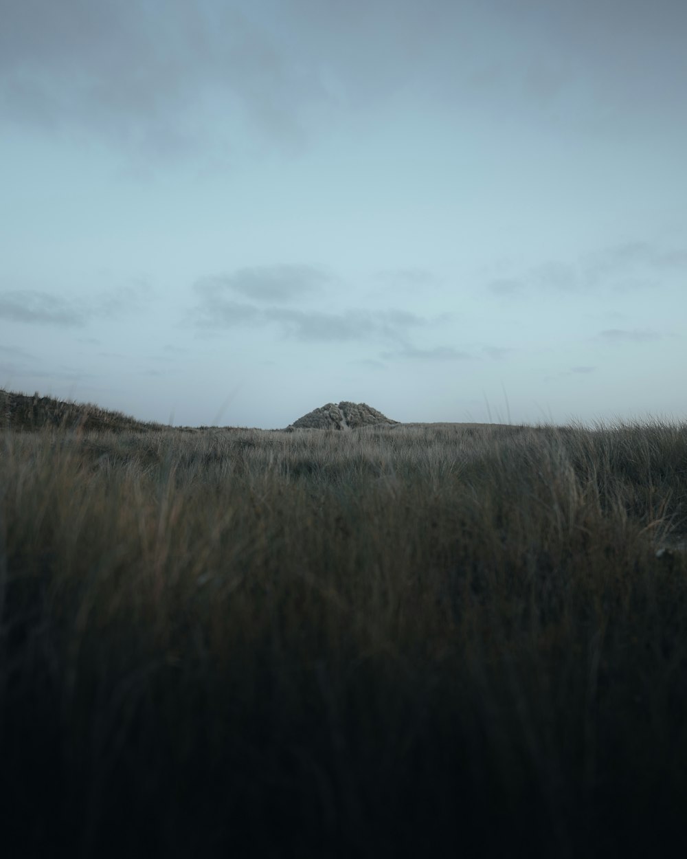 a grassy field with a hill in the distance