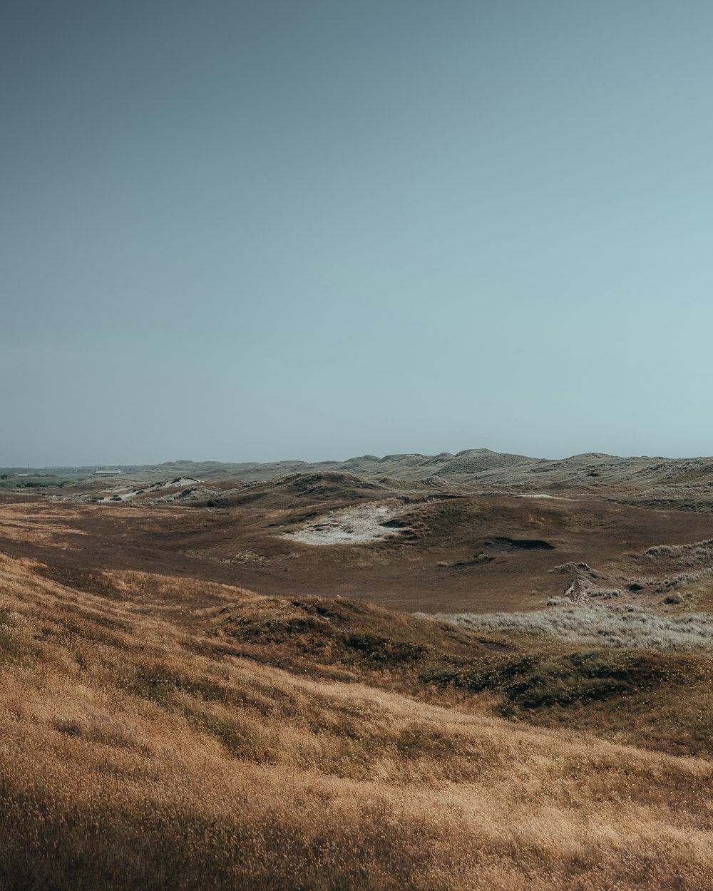 a grassy plain with a few trees in the distance