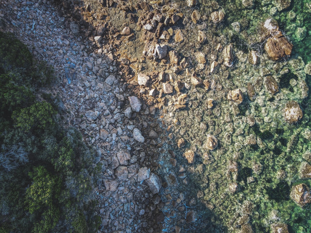 a bird's eye view of rocks and grass