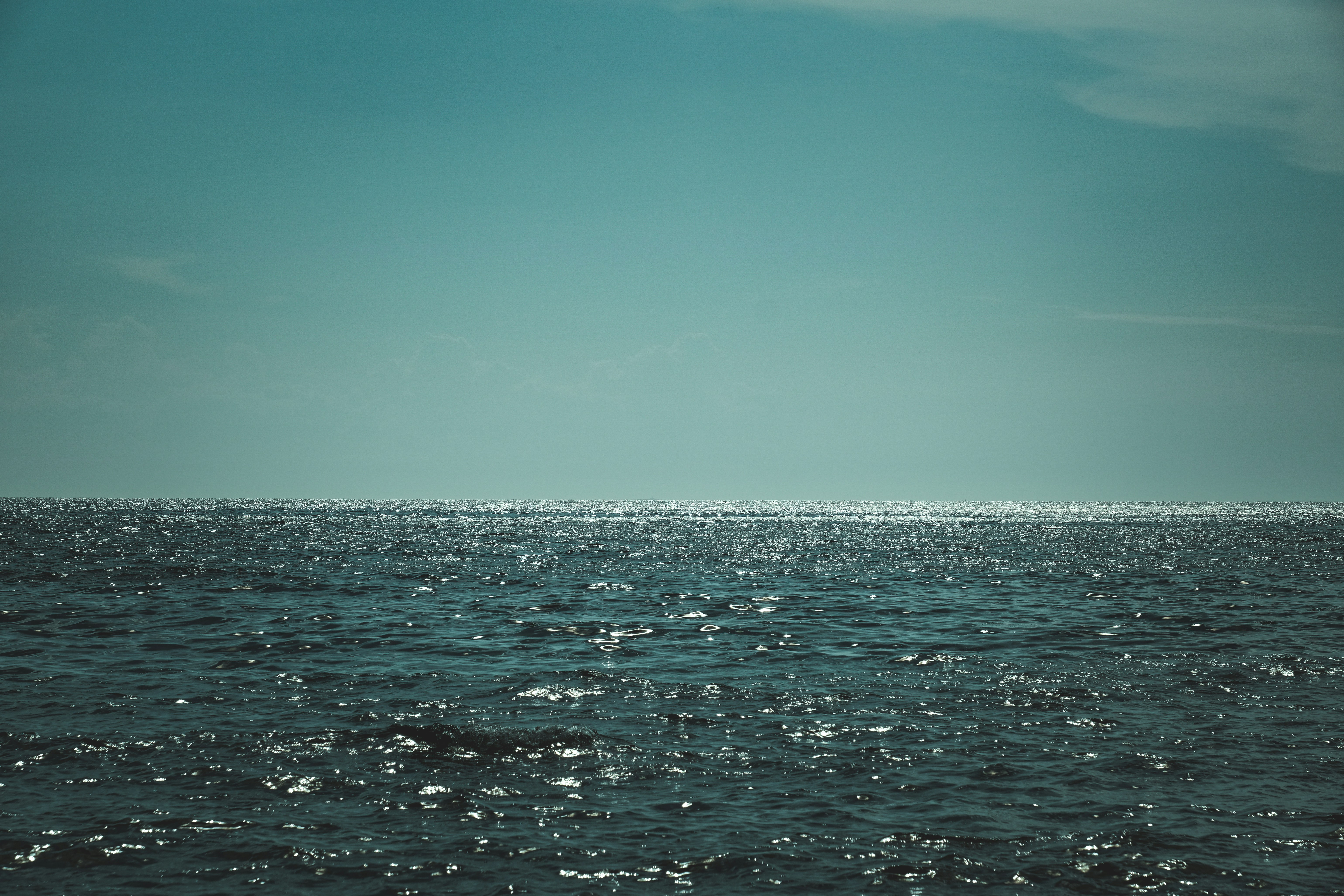 Photo by francesco_ungaro