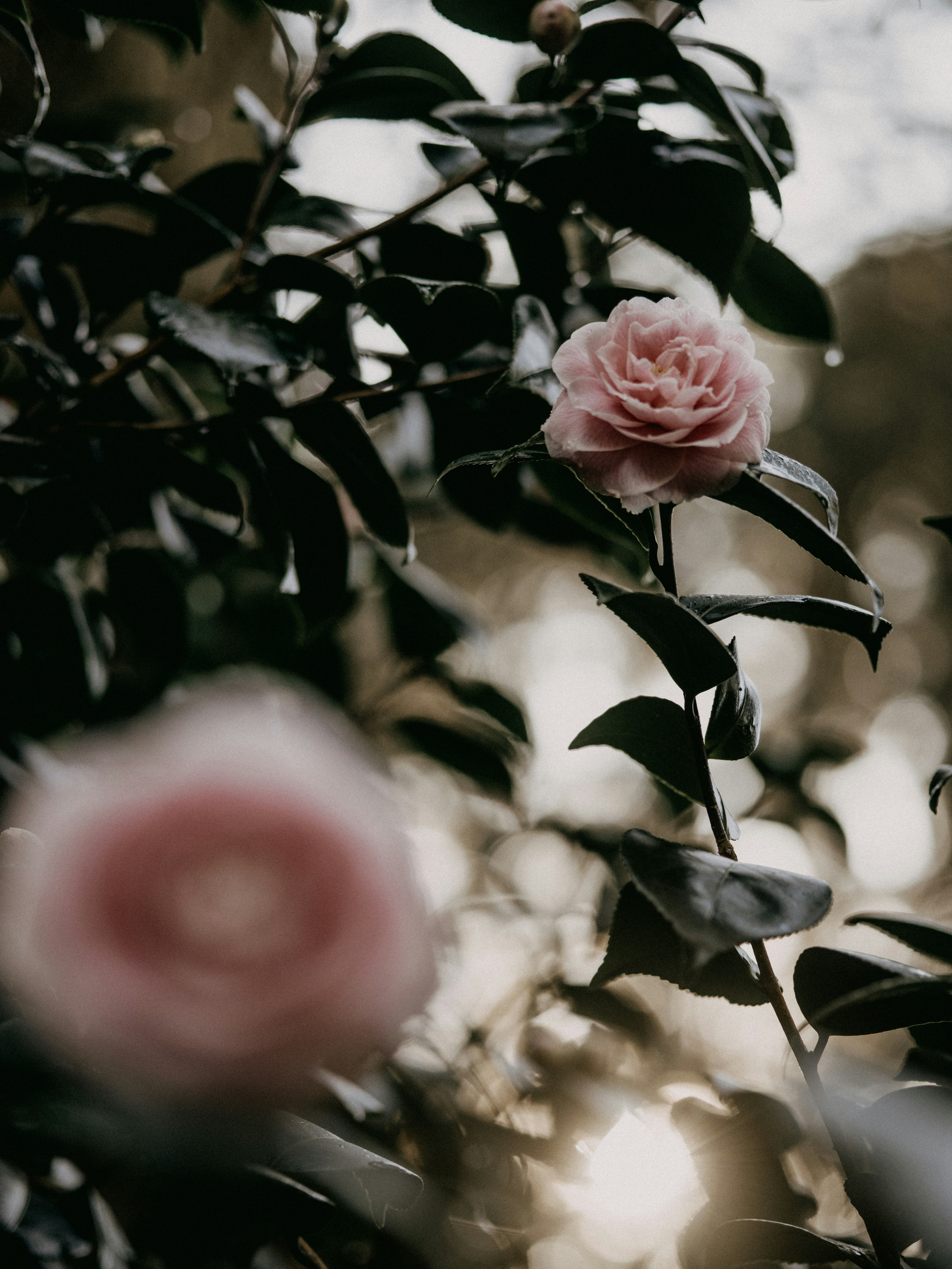 Photo by anniespratt