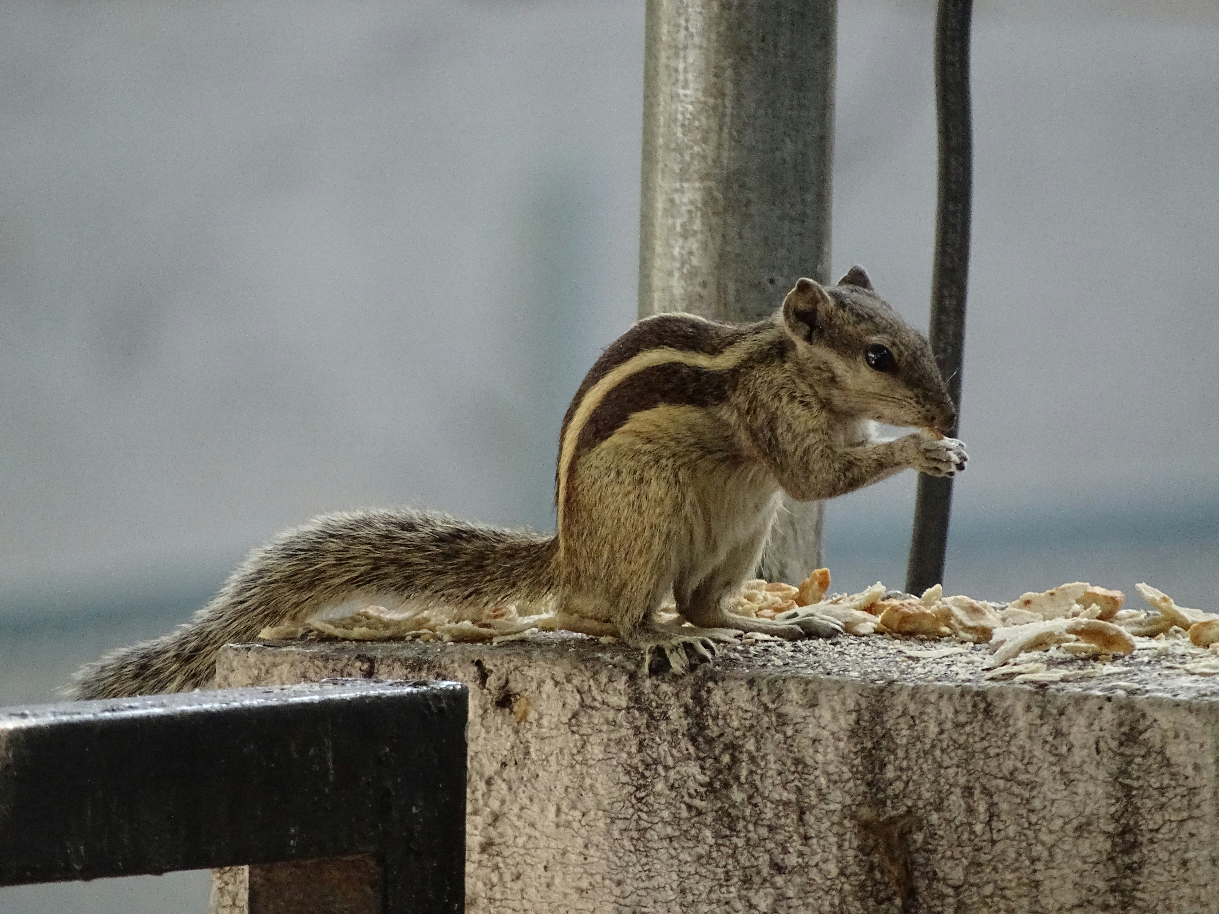 Photo by khushi_gandhi2605