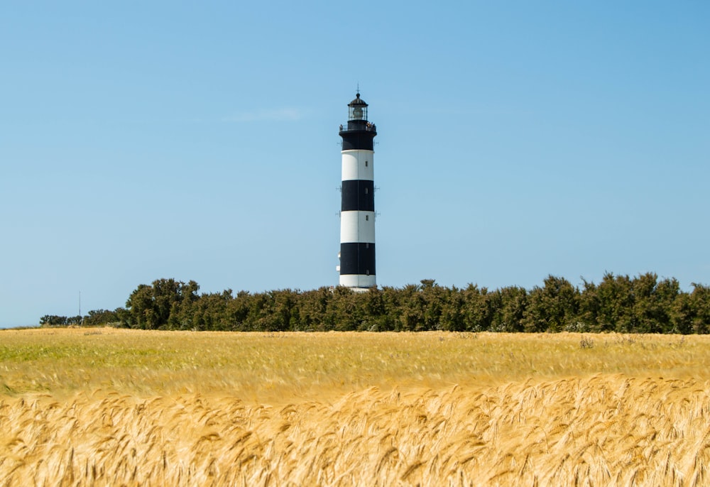 a black and white lighthouse in a wheat field