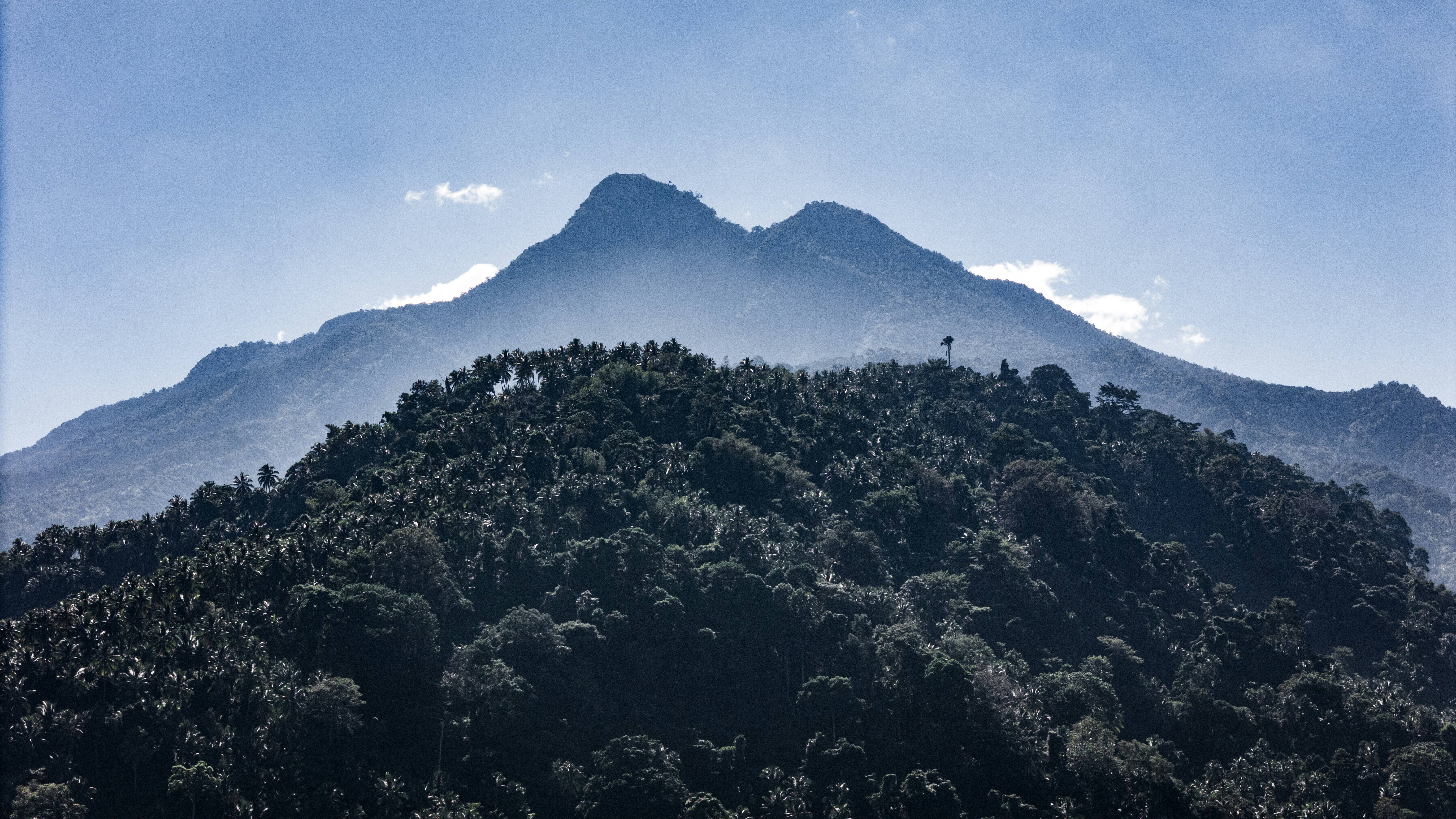 Conservation Success Stories (image credits: unsplash)