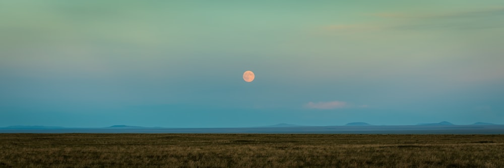 a full moon is seen in the sky over a field