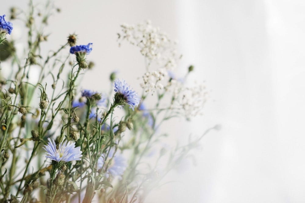 a bunch of blue flowers sitting in a vase