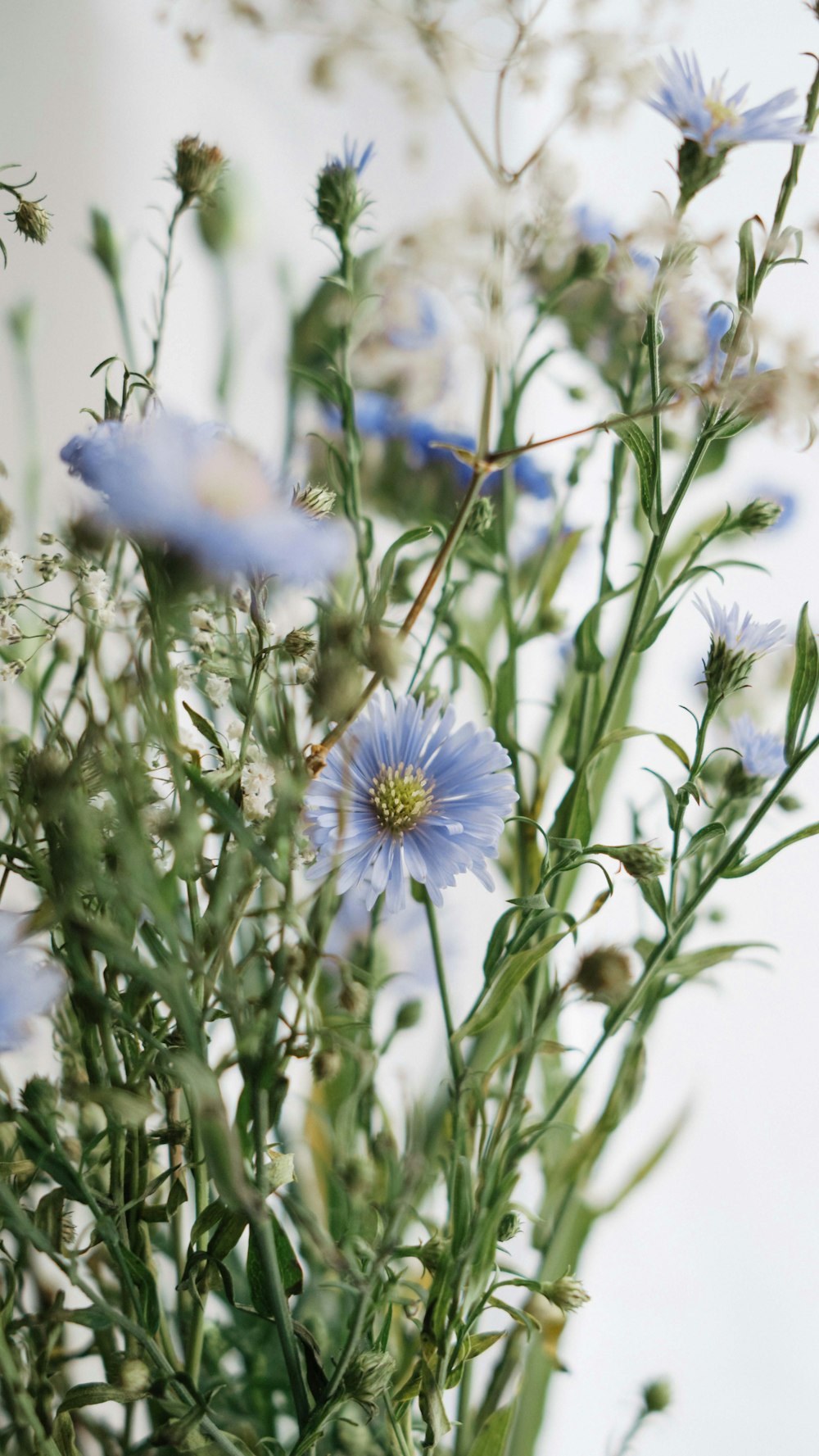 a vase filled with lots of blue flowers