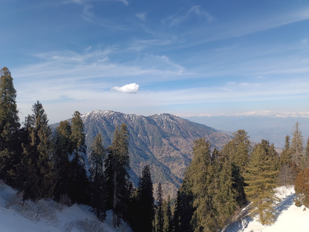 a view of a mountain range with trees in the foreground