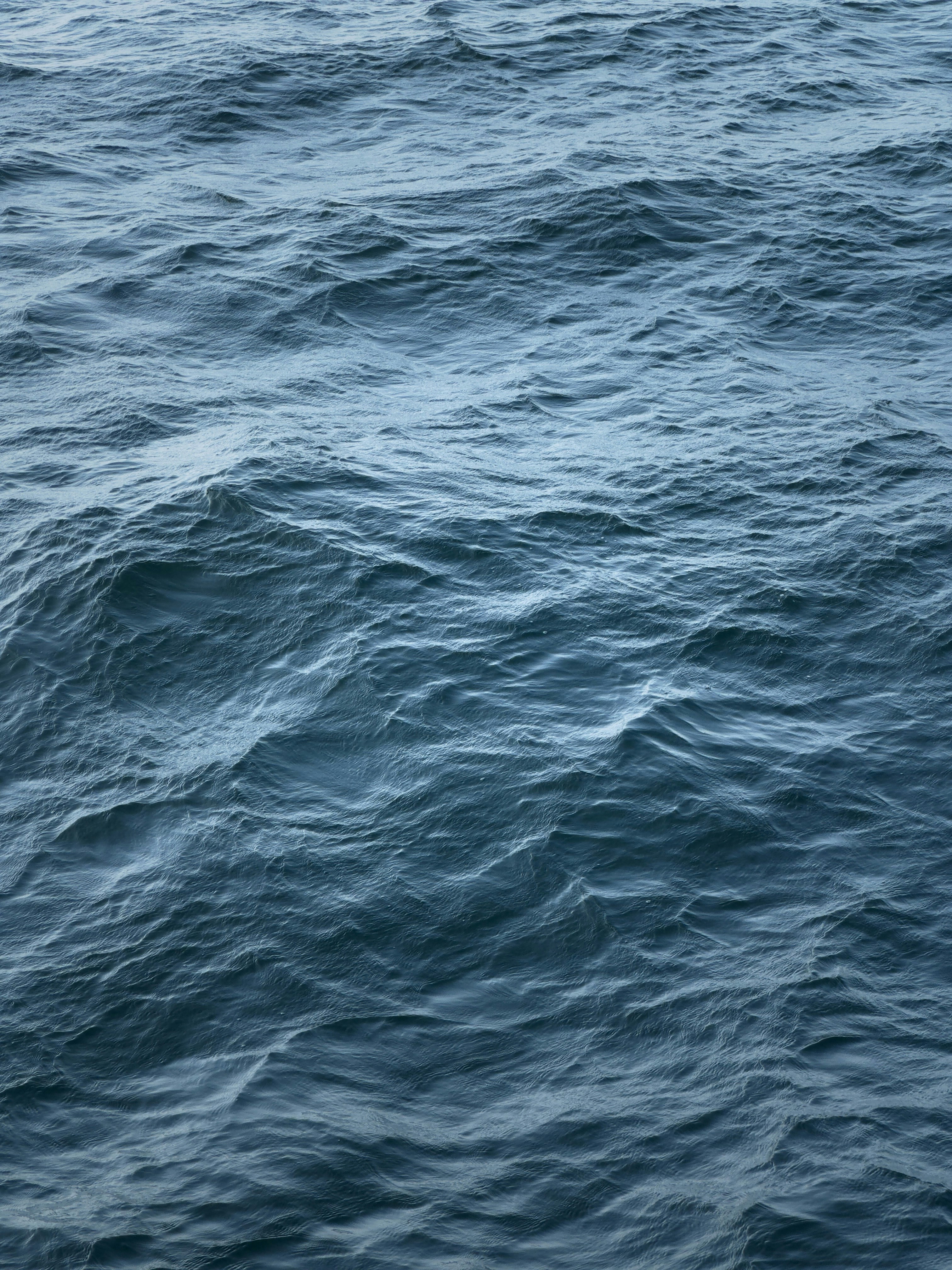 Photo by bangbangcheung