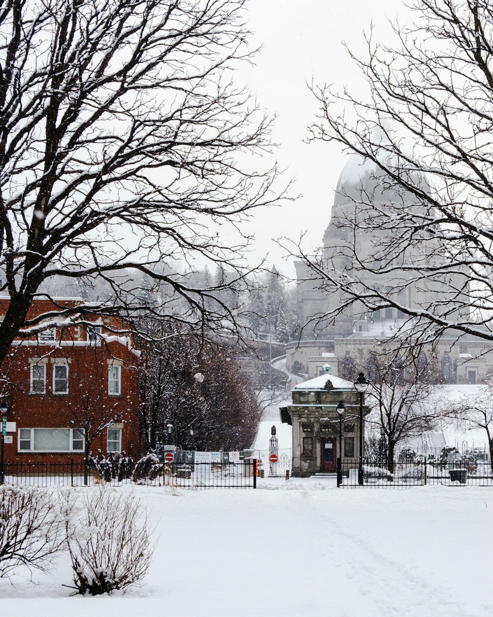 a snow covered park with a building in the background