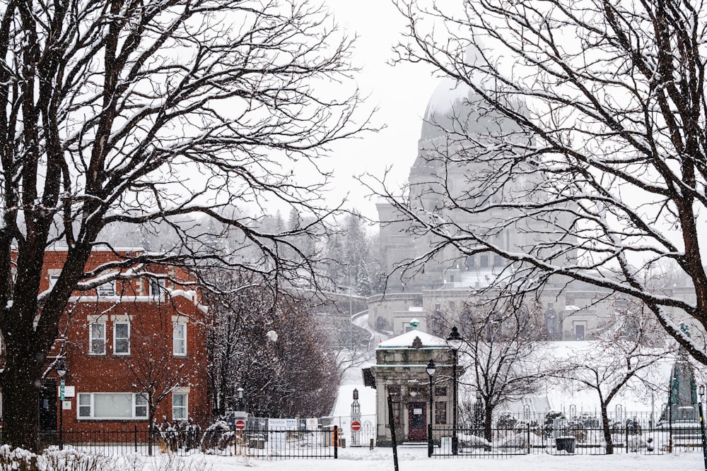 a snowy day in a city park with a clock tower in the background