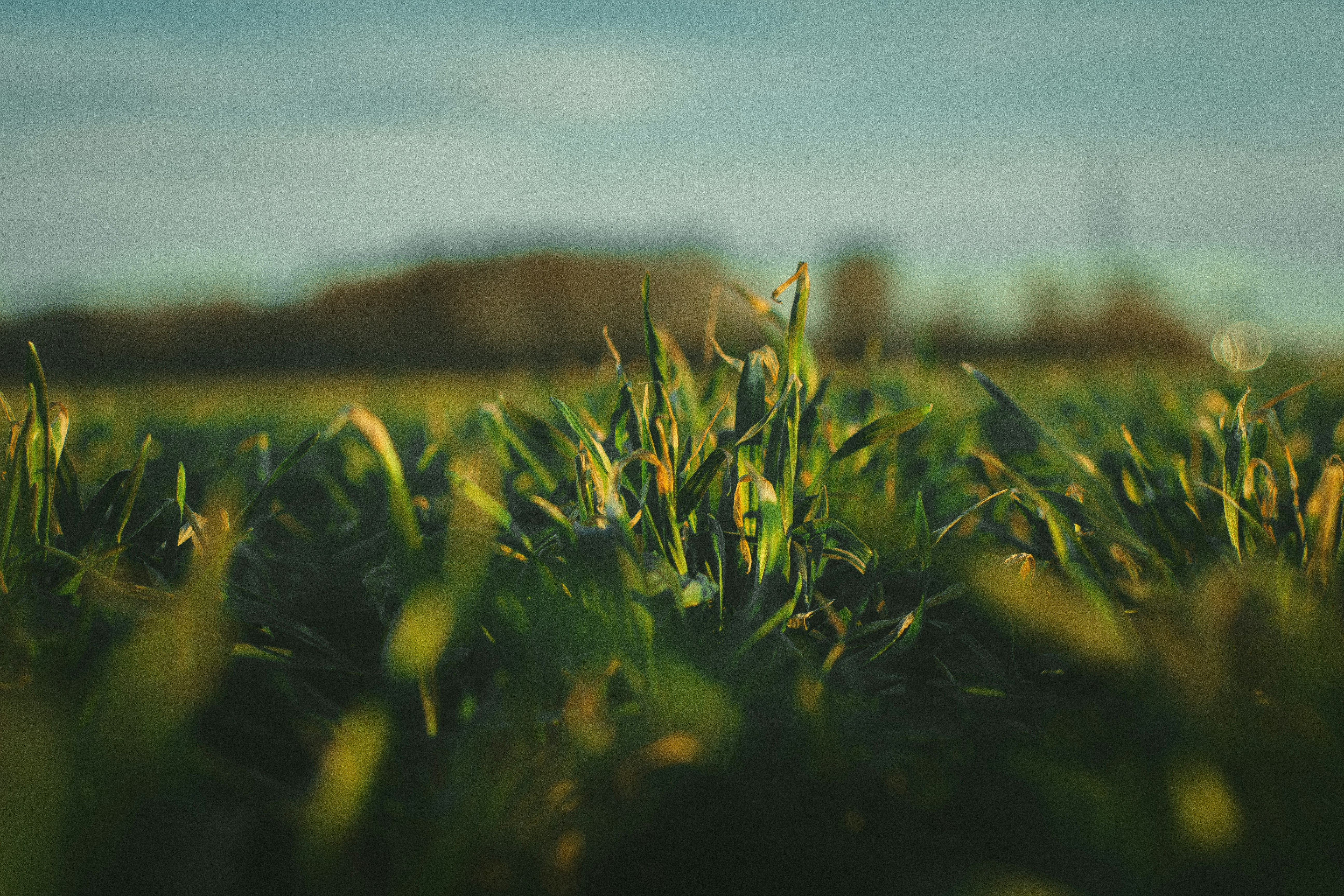 Photo by maximyuryshev