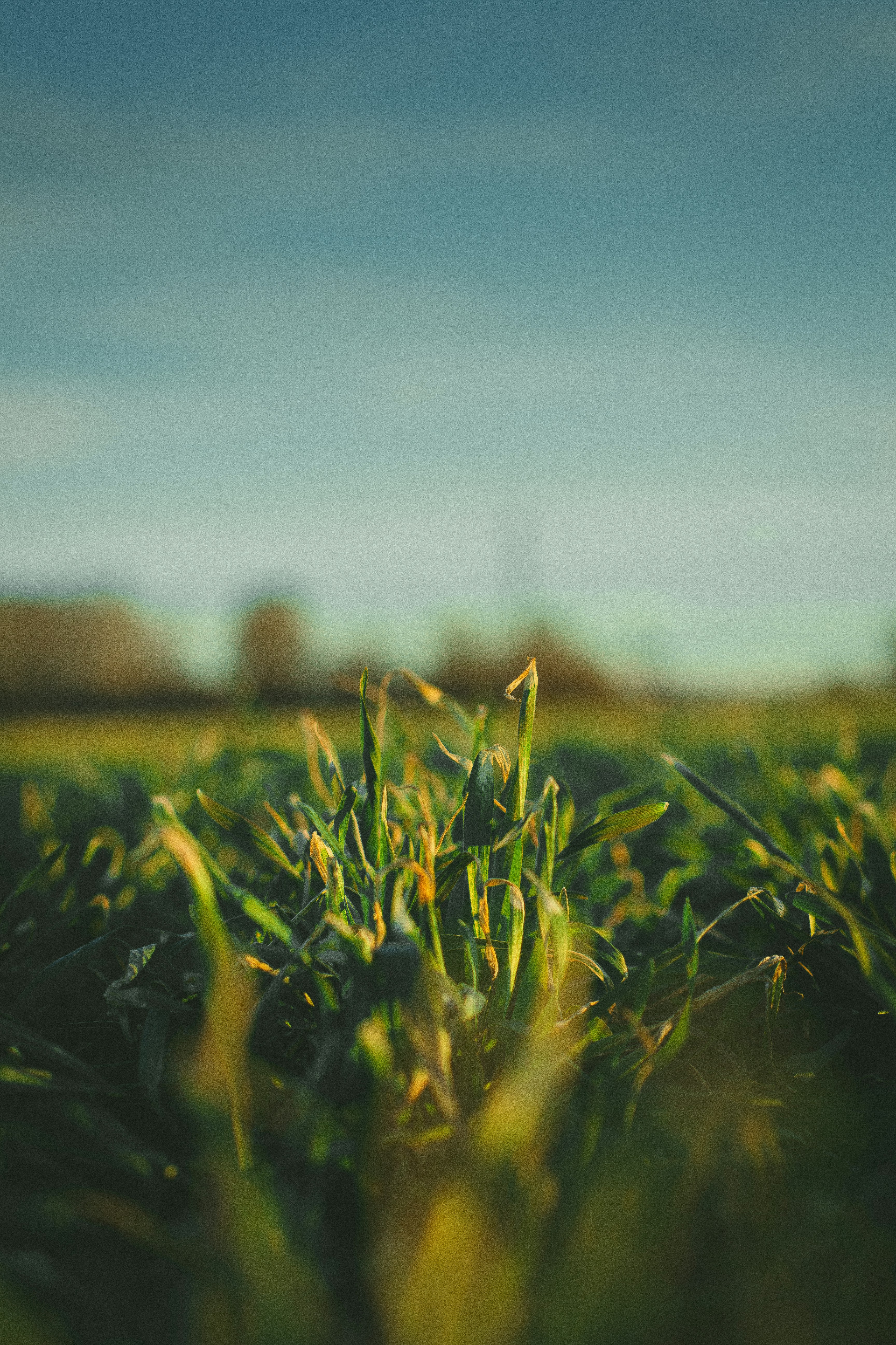 Photo by maximyuryshev