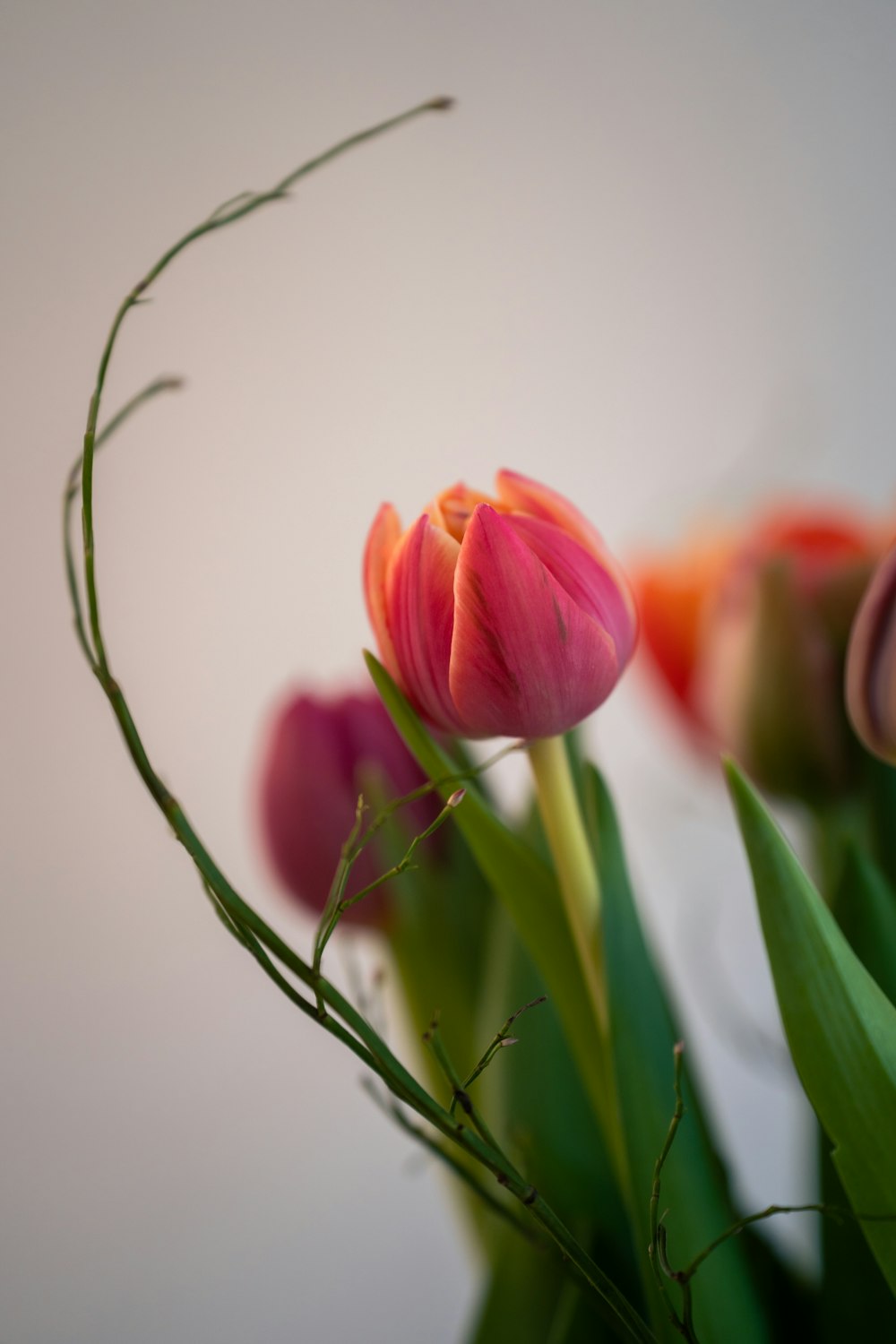 eine Vase gefüllt mit rosa Blumen auf einem Tisch