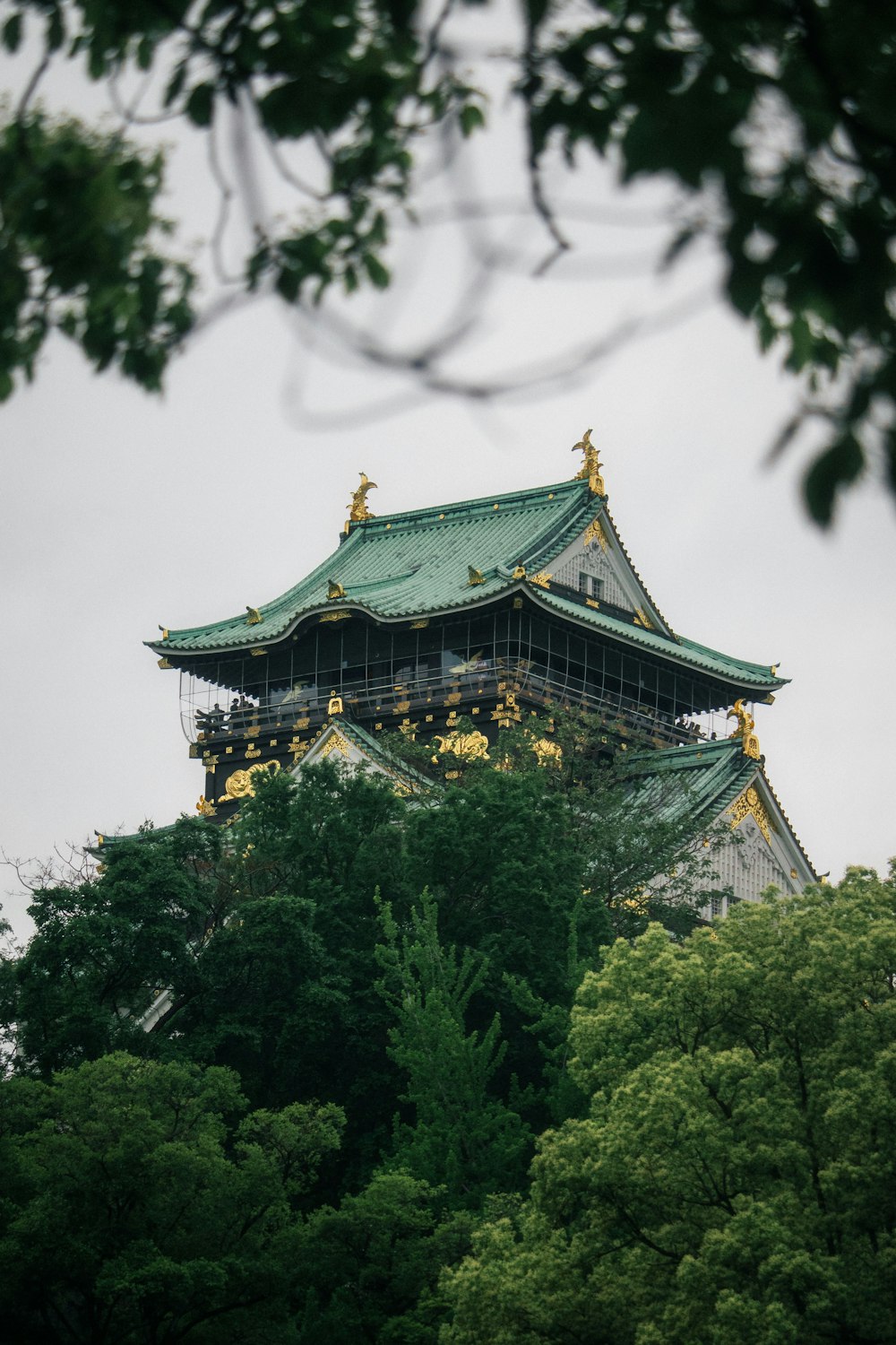 a tall building sitting on top of a lush green forest