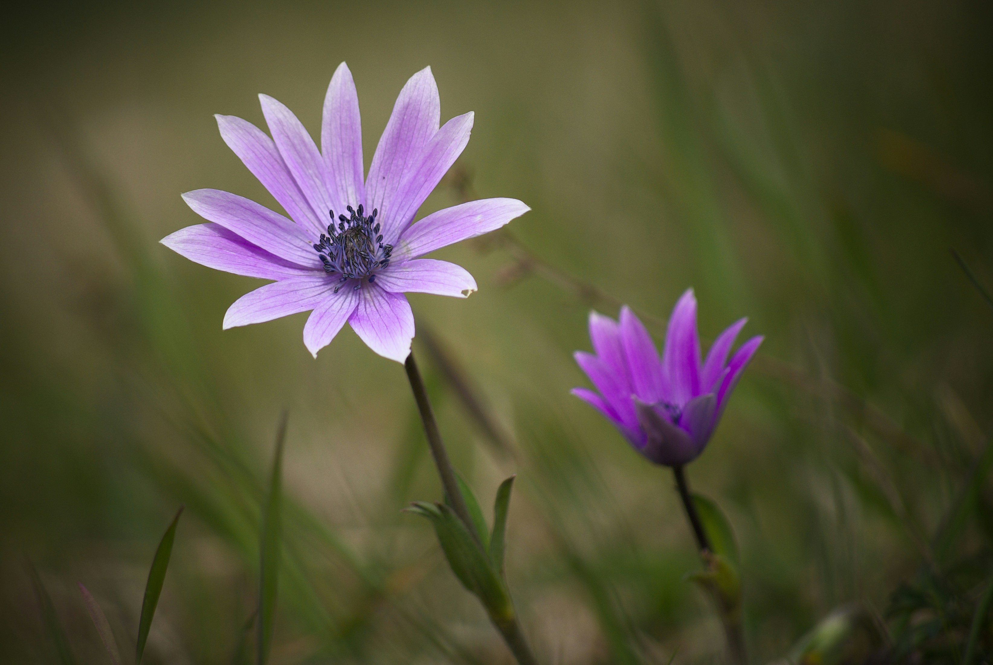 Photo by mariobeducci