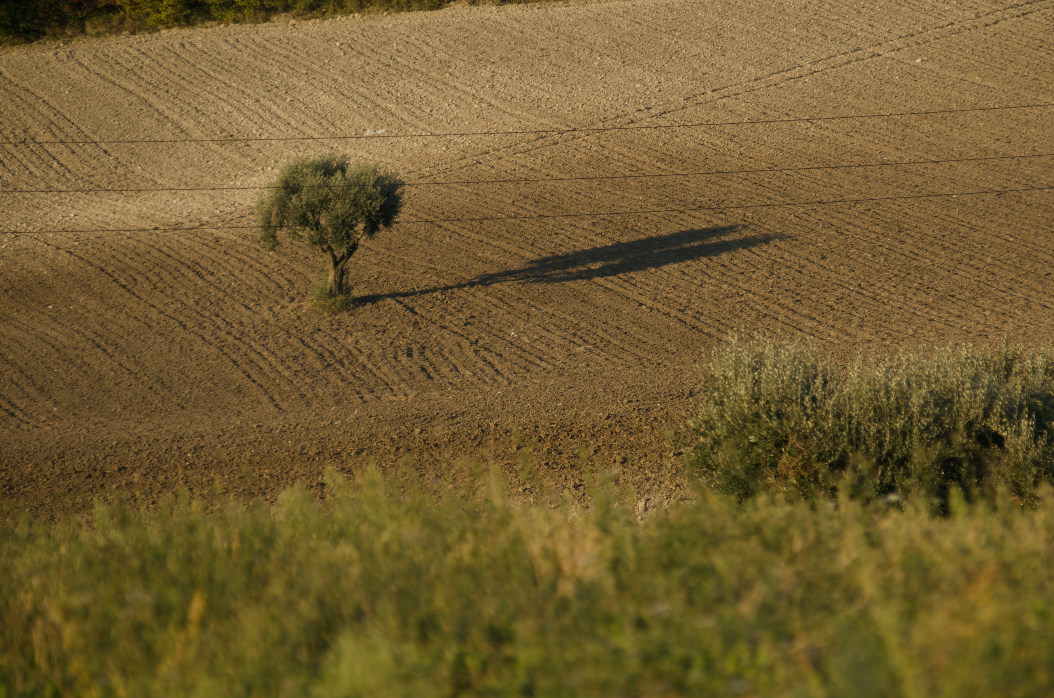 Photo by mariobeducci