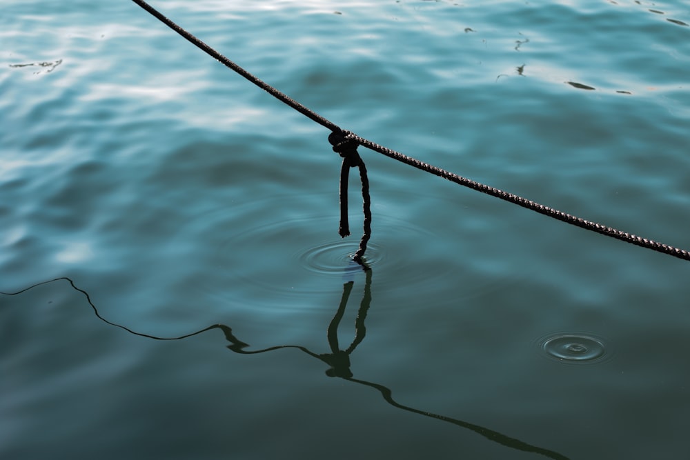 a rope that is connected to a body of water