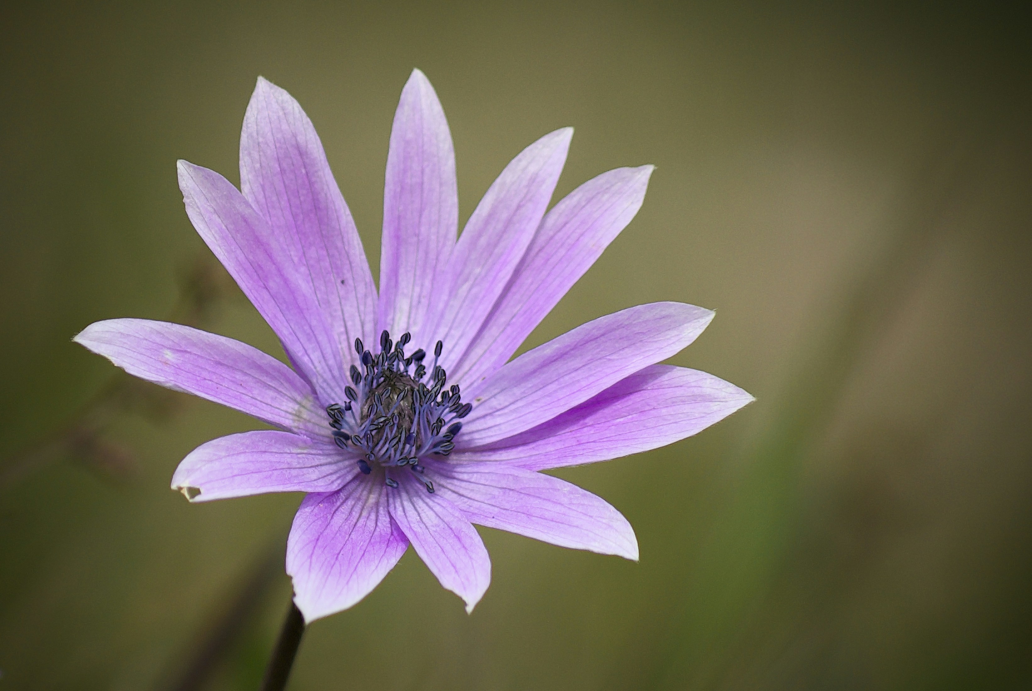 Photo by mariobeducci