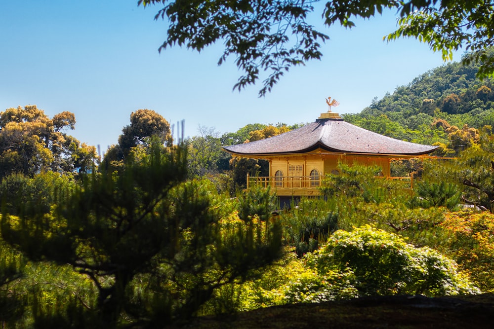 a gazebo in the middle of a lush green forest