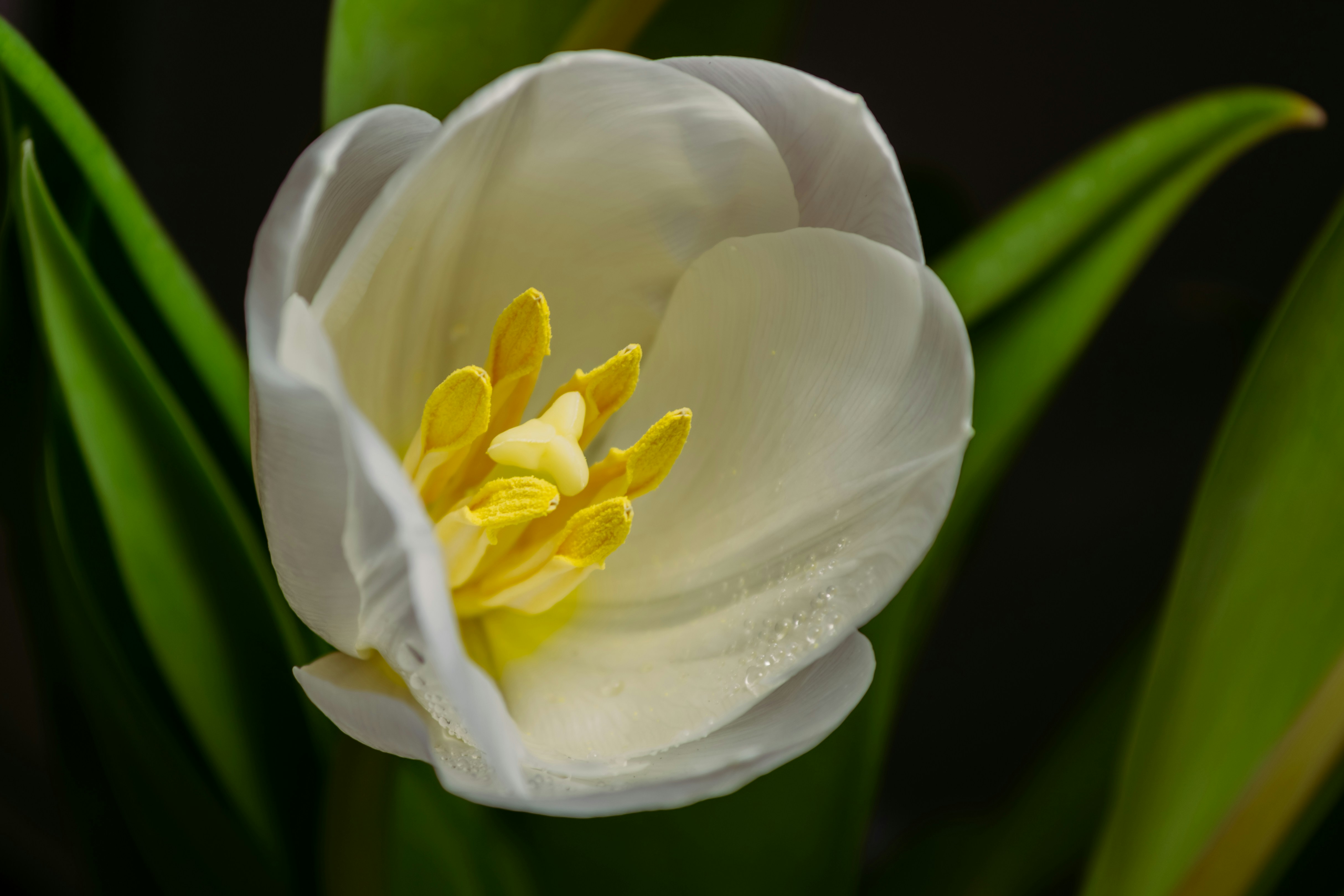 Photo by orebrik